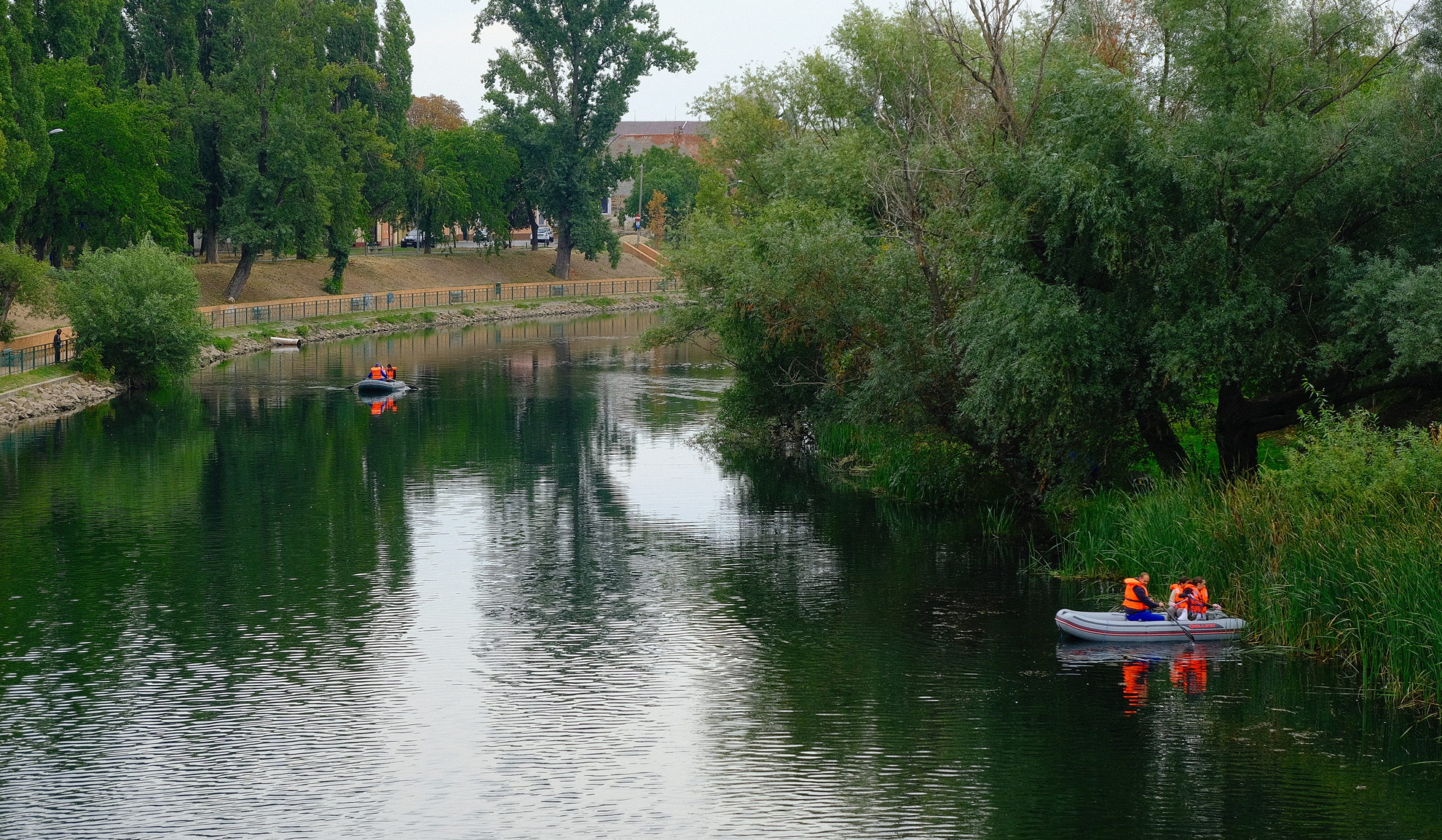 igienizare crisul repede oradea (5)