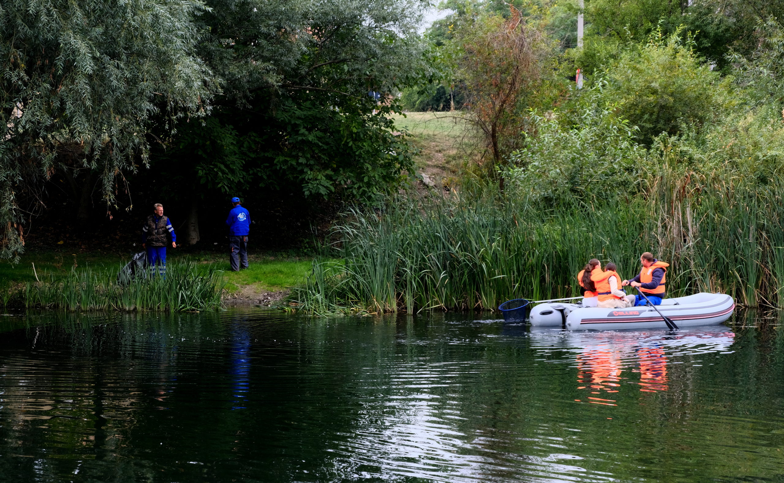 igienizare crisul repede oradea (6)