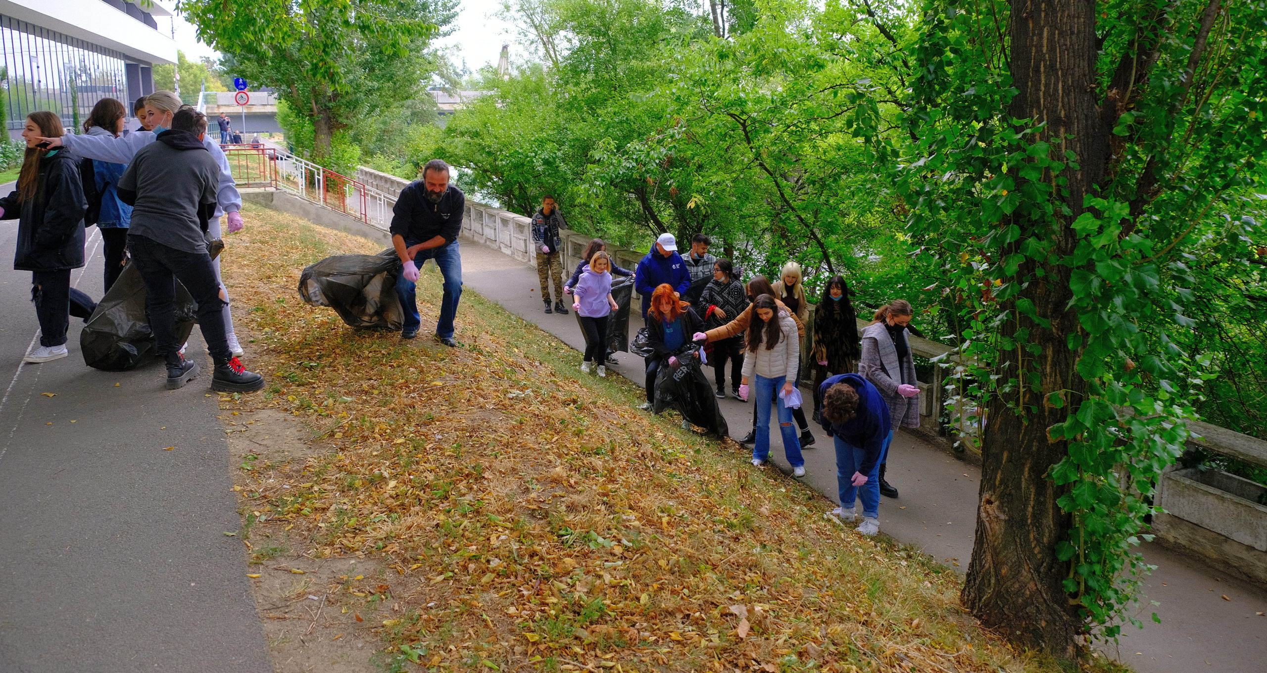 igienizare crisul repede oradea (10)
