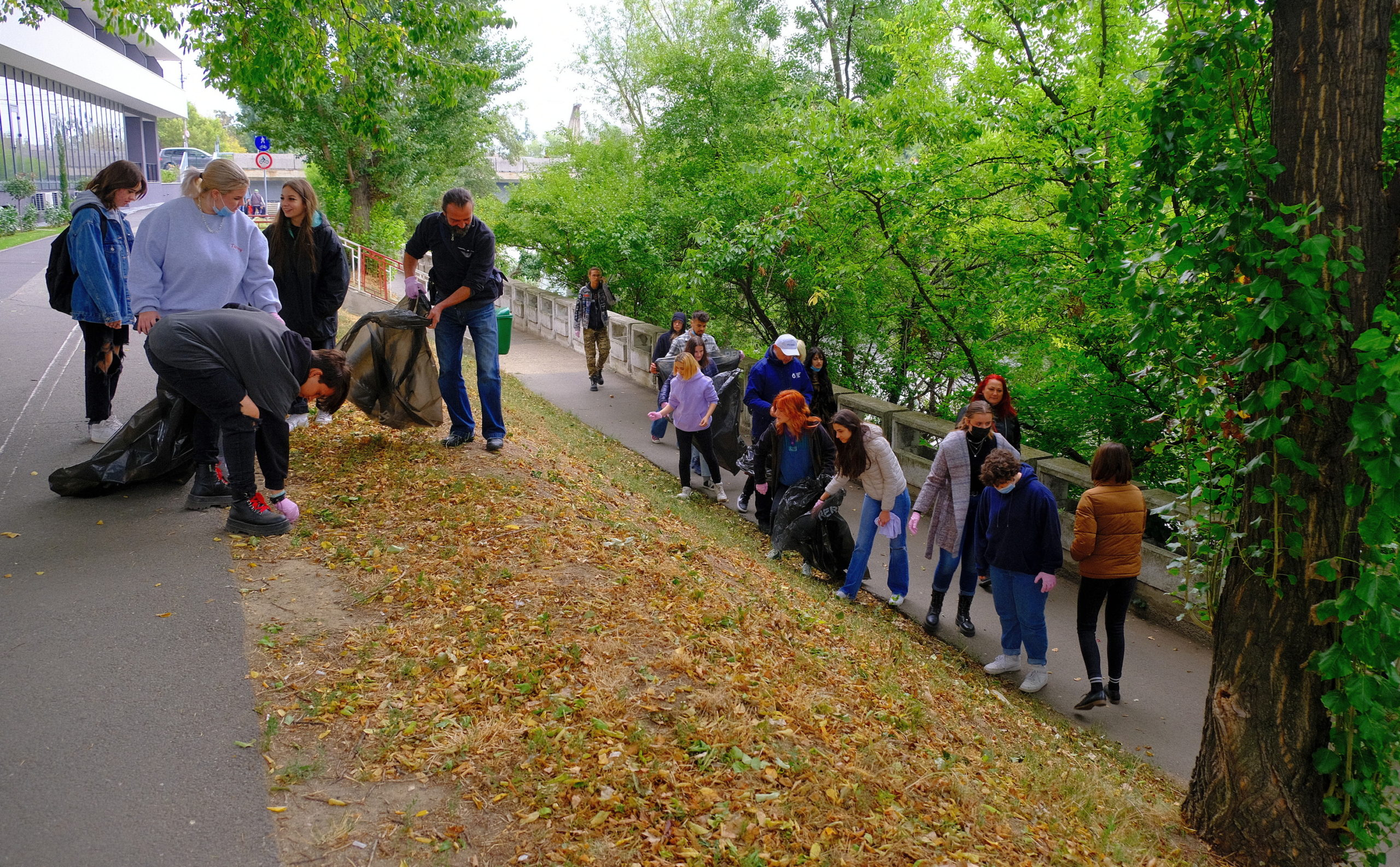 igienizare crisul repede oradea (11)