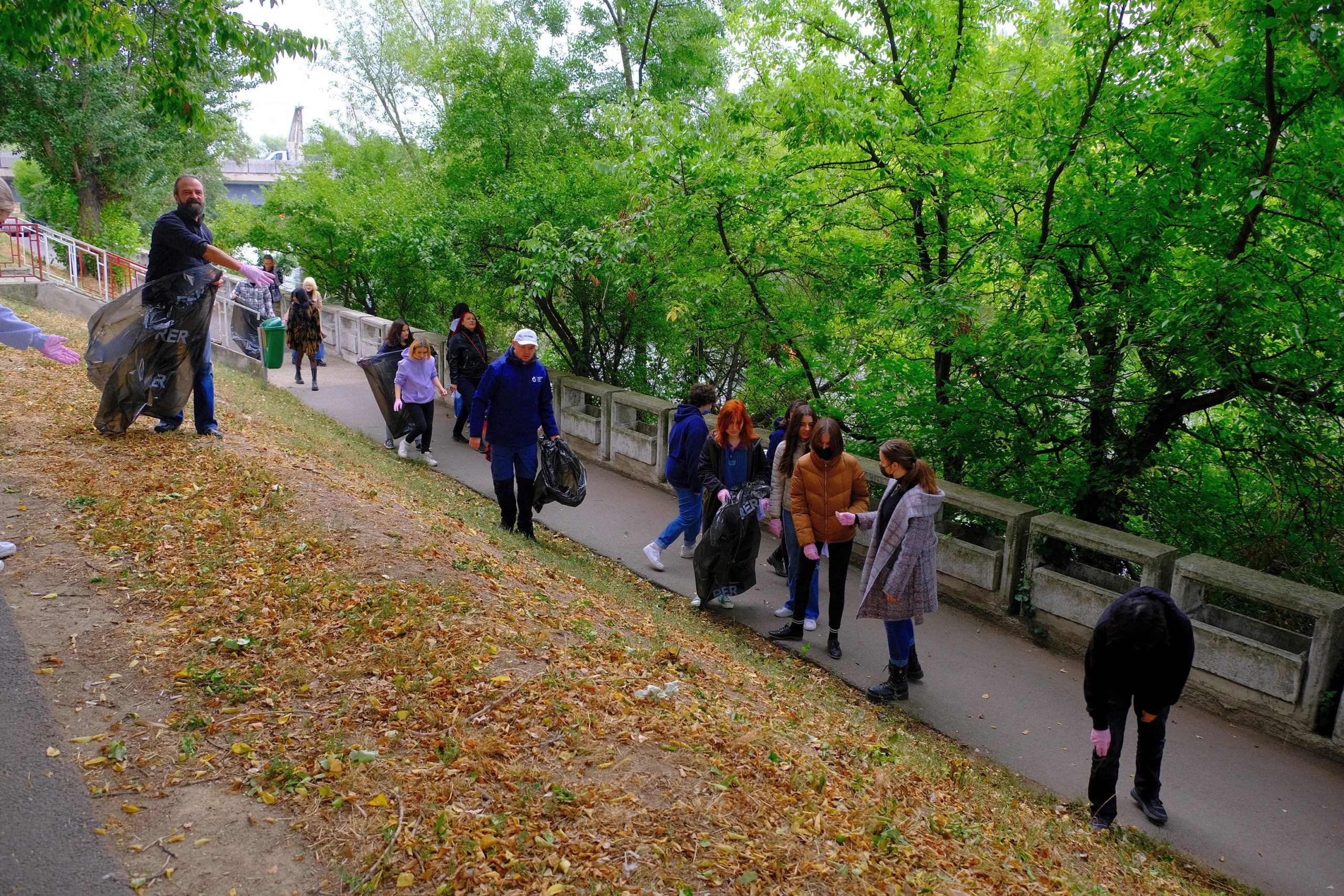 igienizare crisul repede oradea (12)