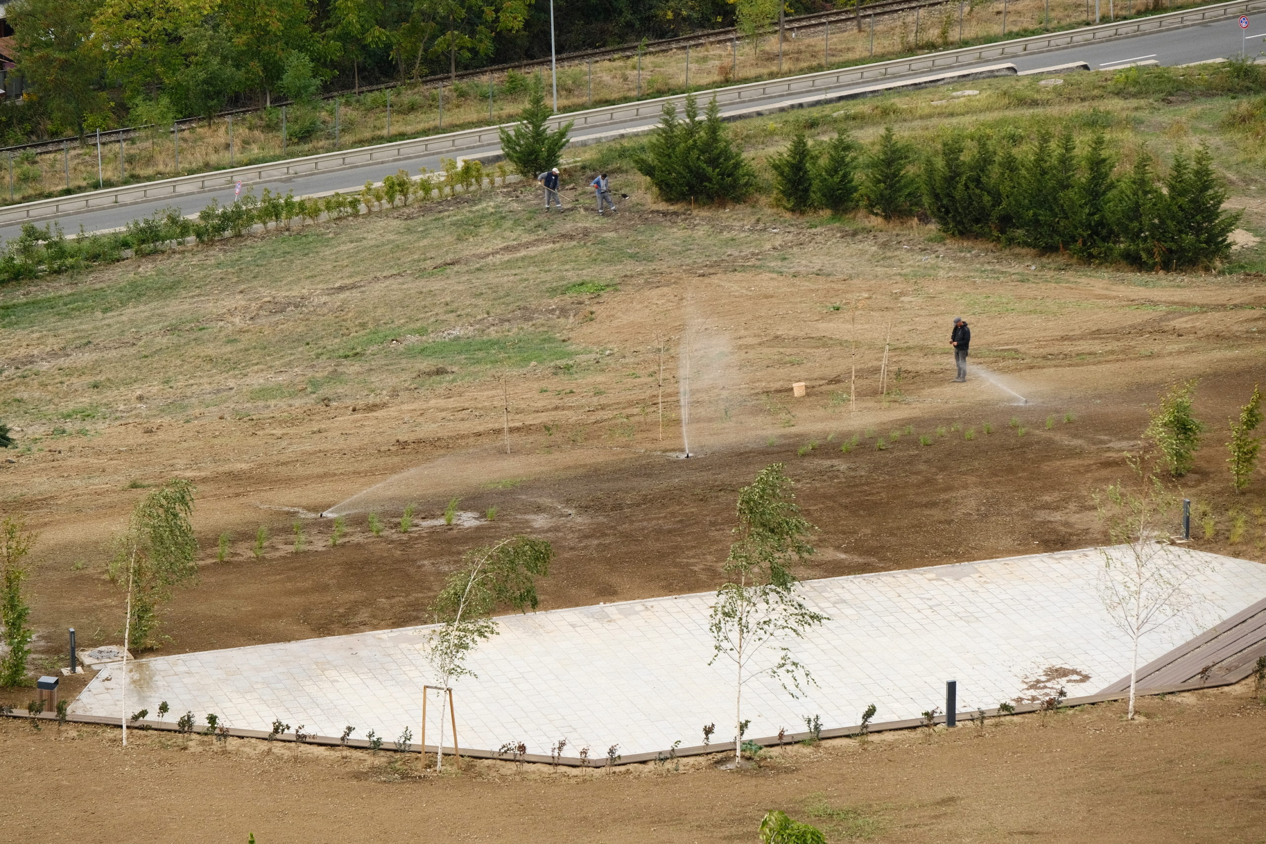 dealul ciuperca (10)