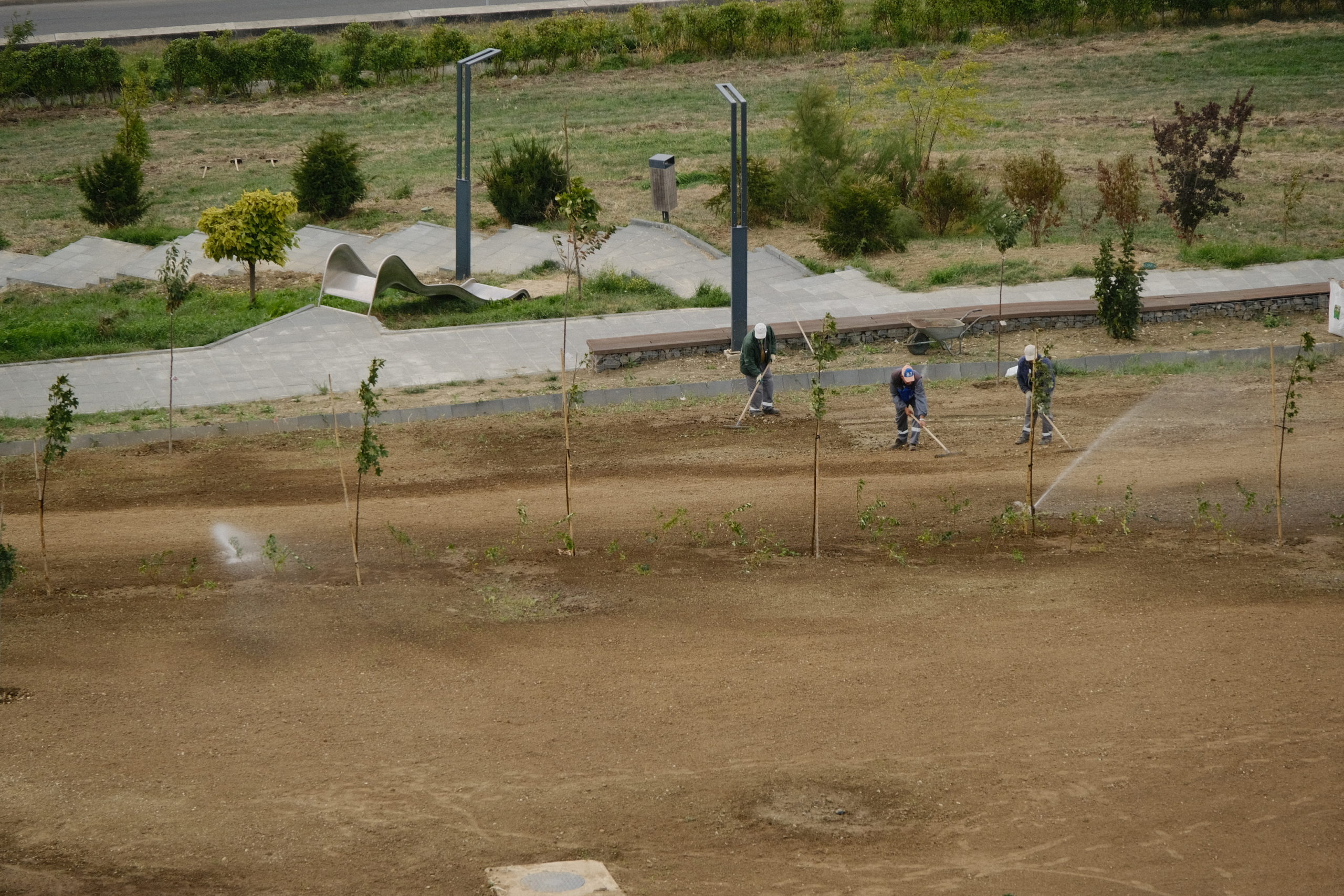 dealul ciuperca (15)