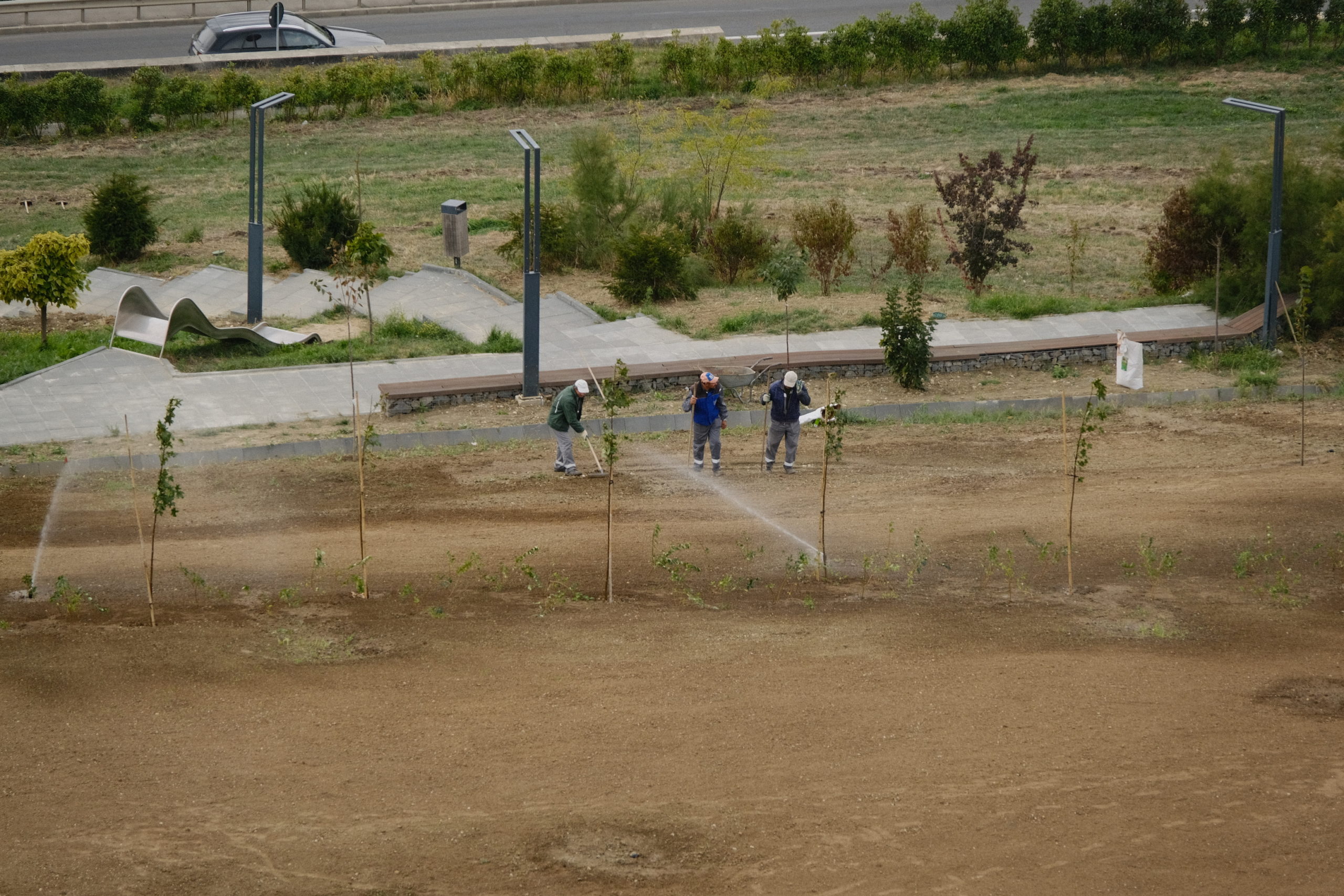 dealul ciuperca (19)