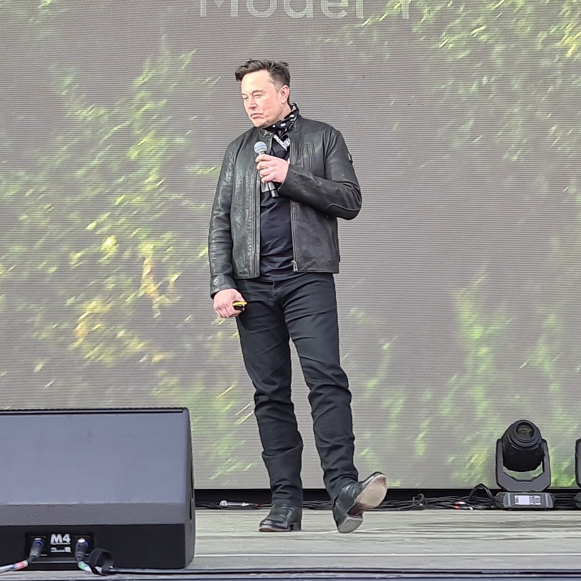 245056480_406558084209162_9214369264648769011_n