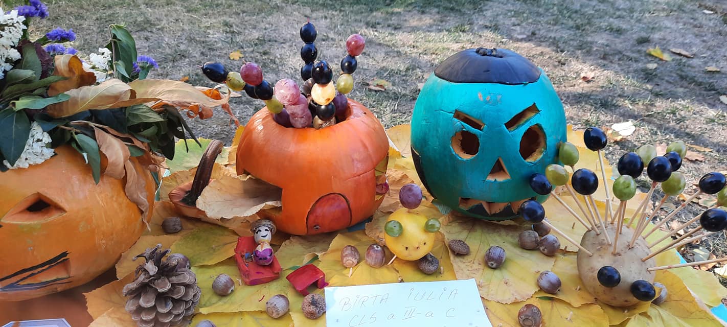 244741816_459921072064906_9154513417028182842_n