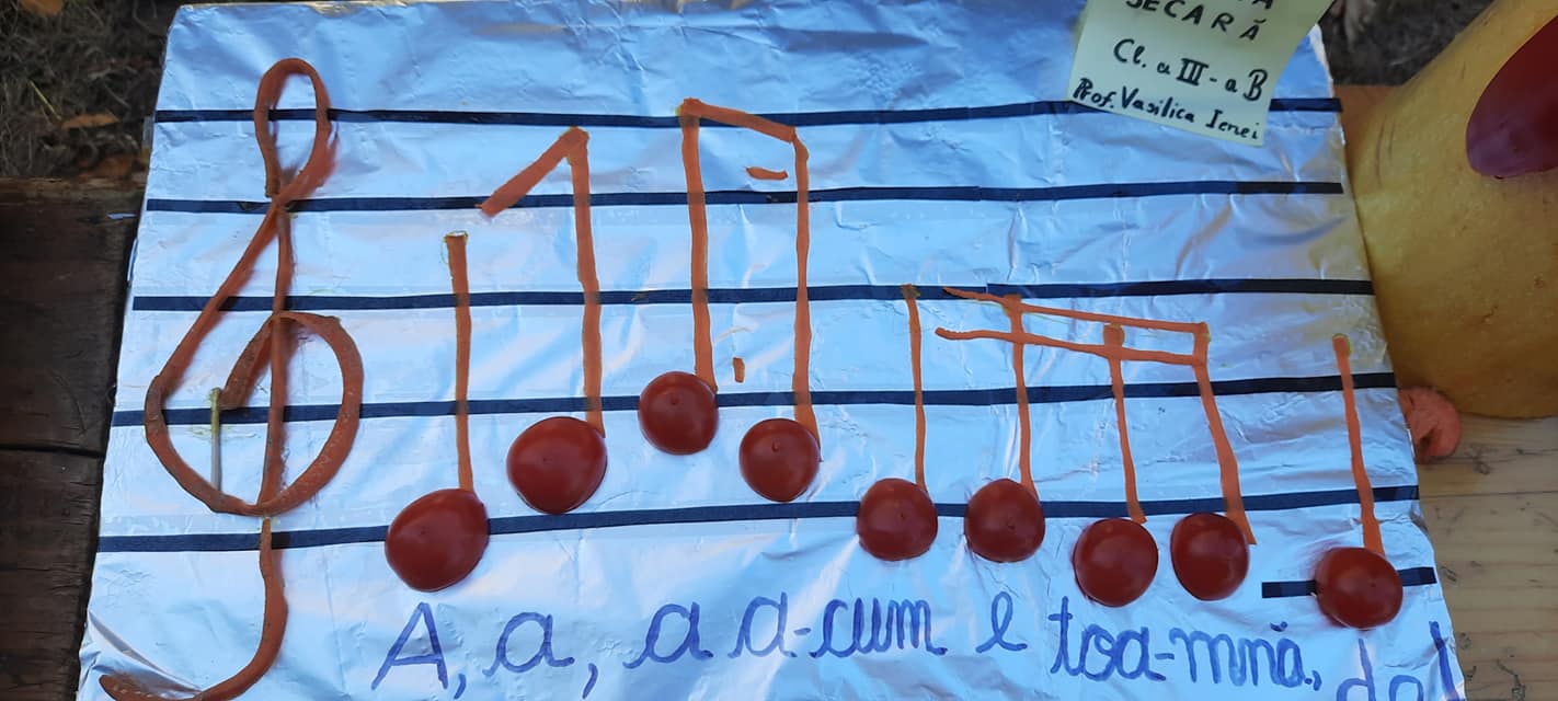 244970579_402483101369801_7399510289397490870_n