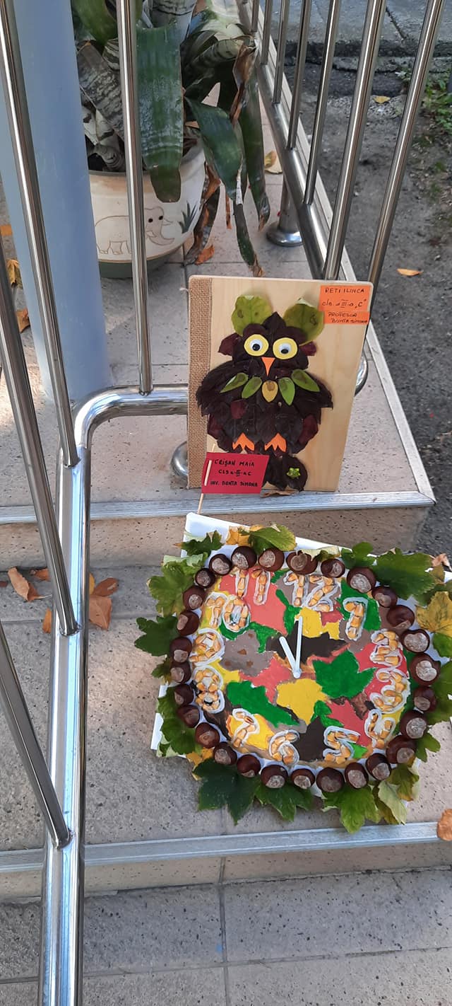 245190985_1024784615026685_8138823068584947938_n