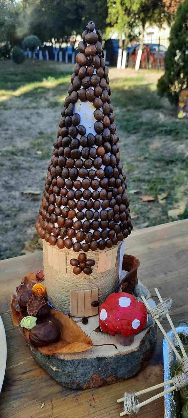 246034106_1065323757615925_4308964883804922285_n