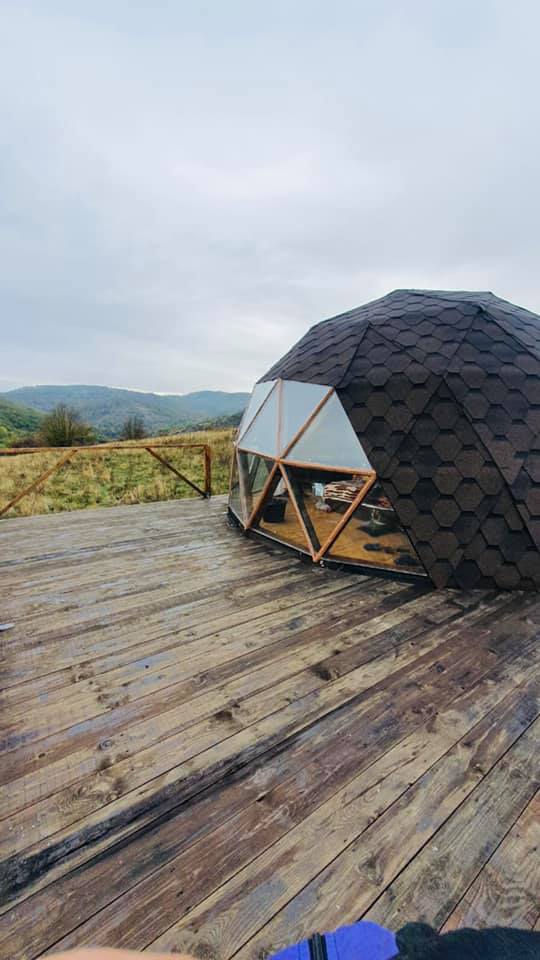 245363477_406020827721977_2060457325321590434_n