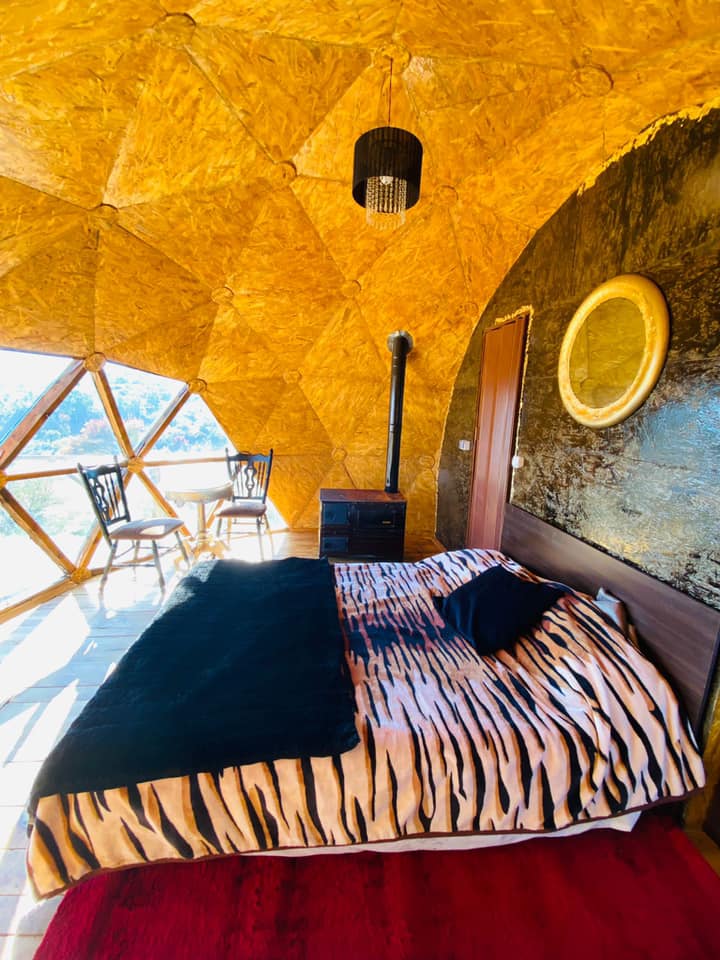 245202593_920076282267866_1828244347363454618_n