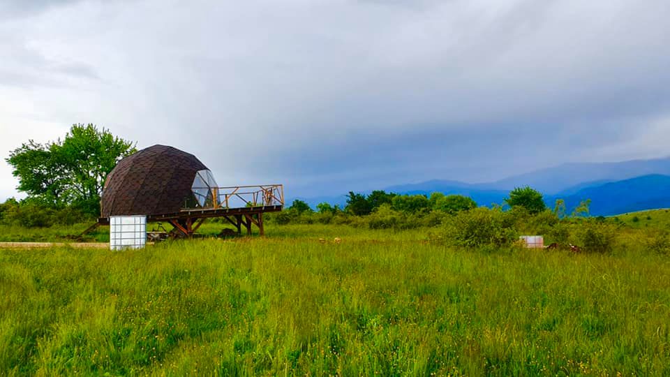 245263394_853040168690083_5266694622225221322_n