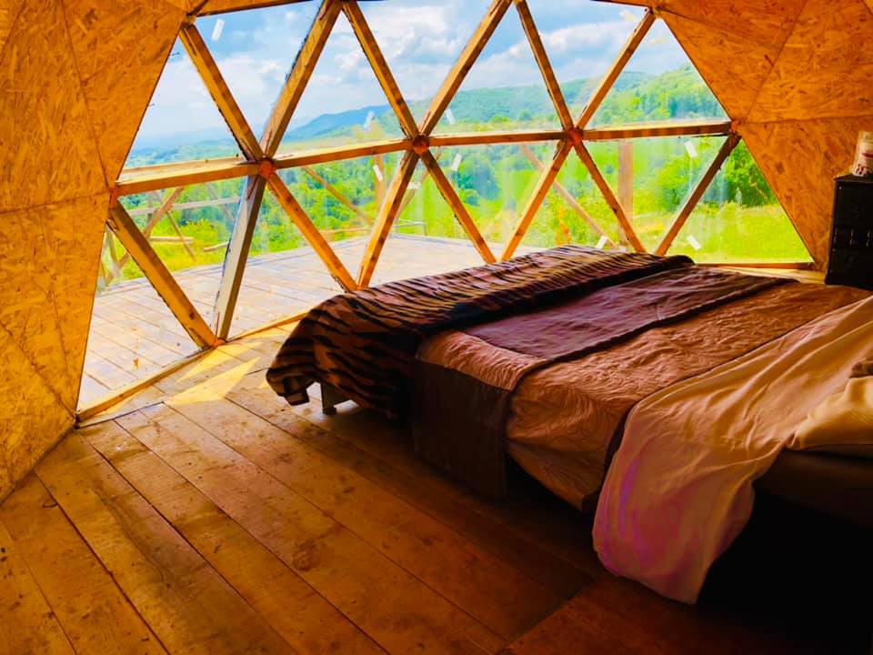 245594664_4724230374303694_2253509730000486009_n