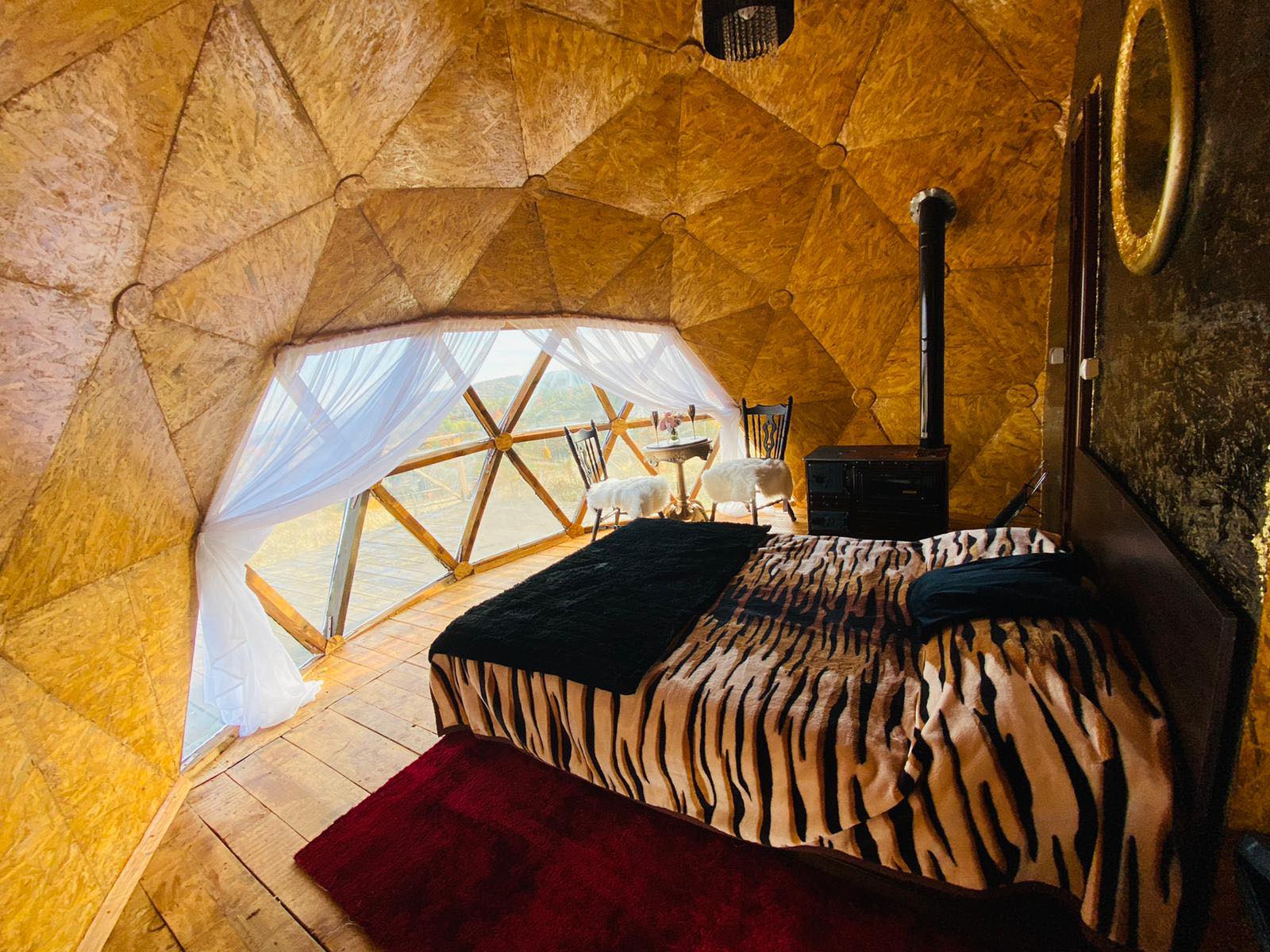 246067620_447776080118410_8604653192010357470_n