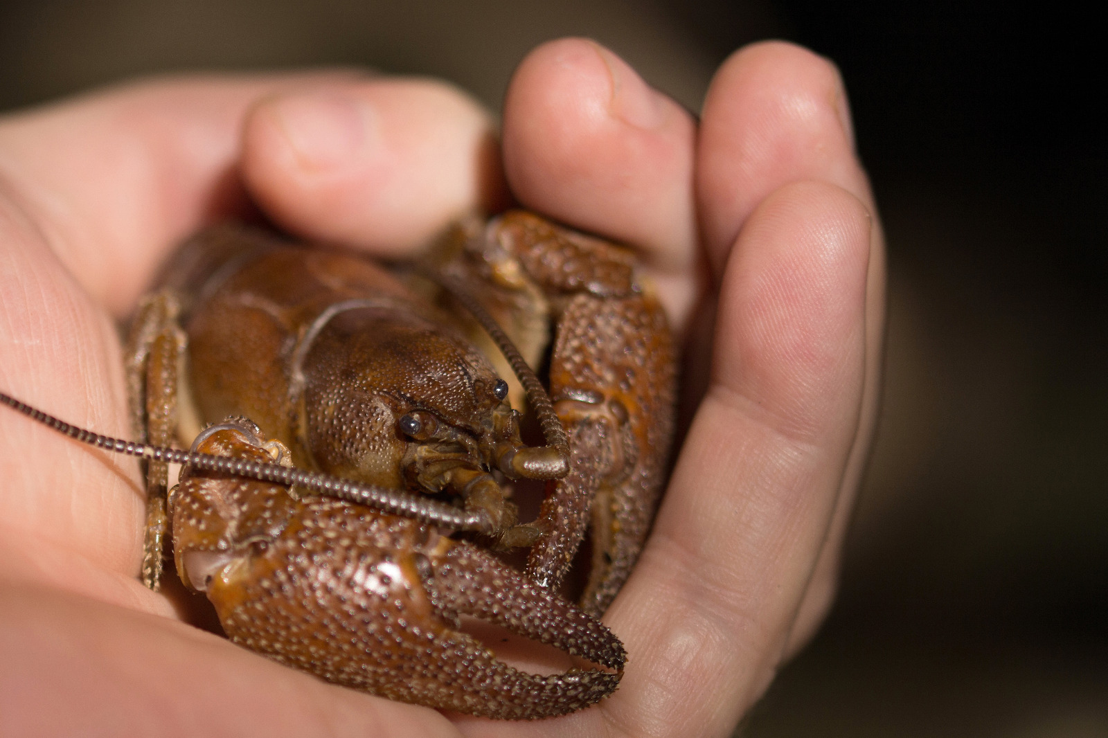 WhatsApp Image 2021-10-21 at 14.55.29 (1)