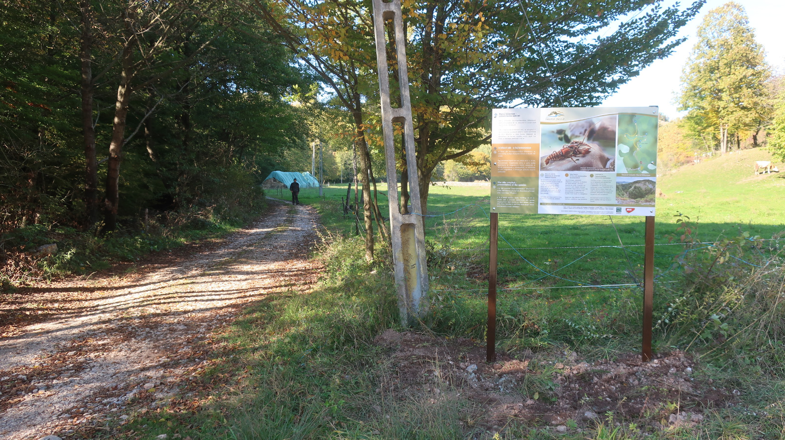 FOTO: Casa racului bihorean 24.10.2021