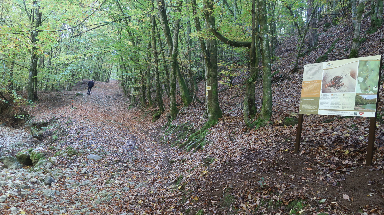 WhatsApp Image 2021-10-21 at 14.56.06