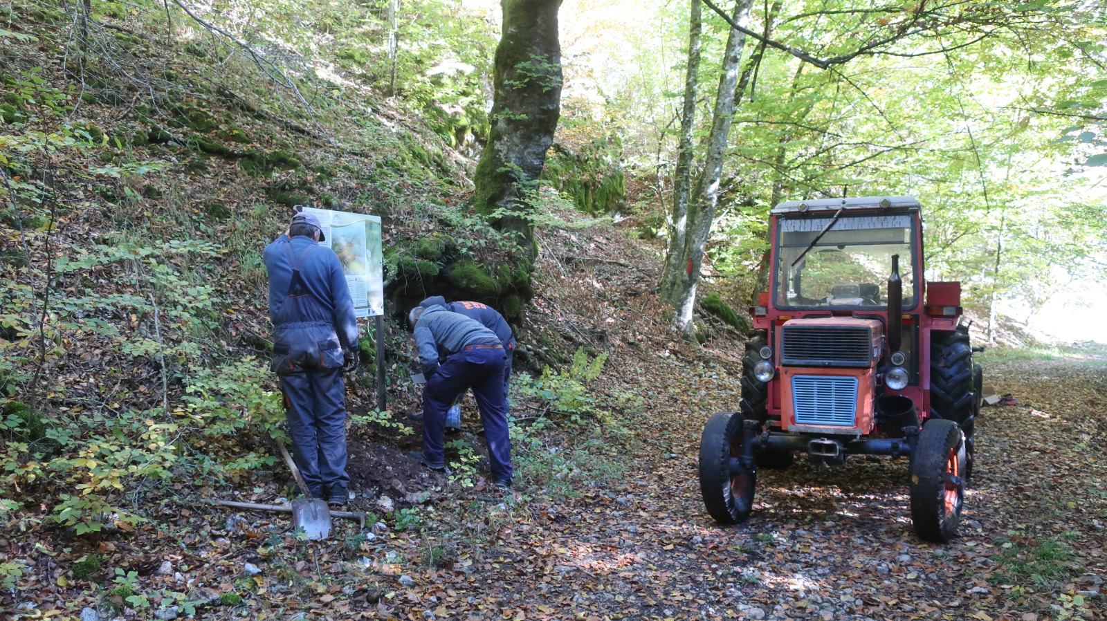 WhatsApp Image 2021-10-21 at 14.52.32