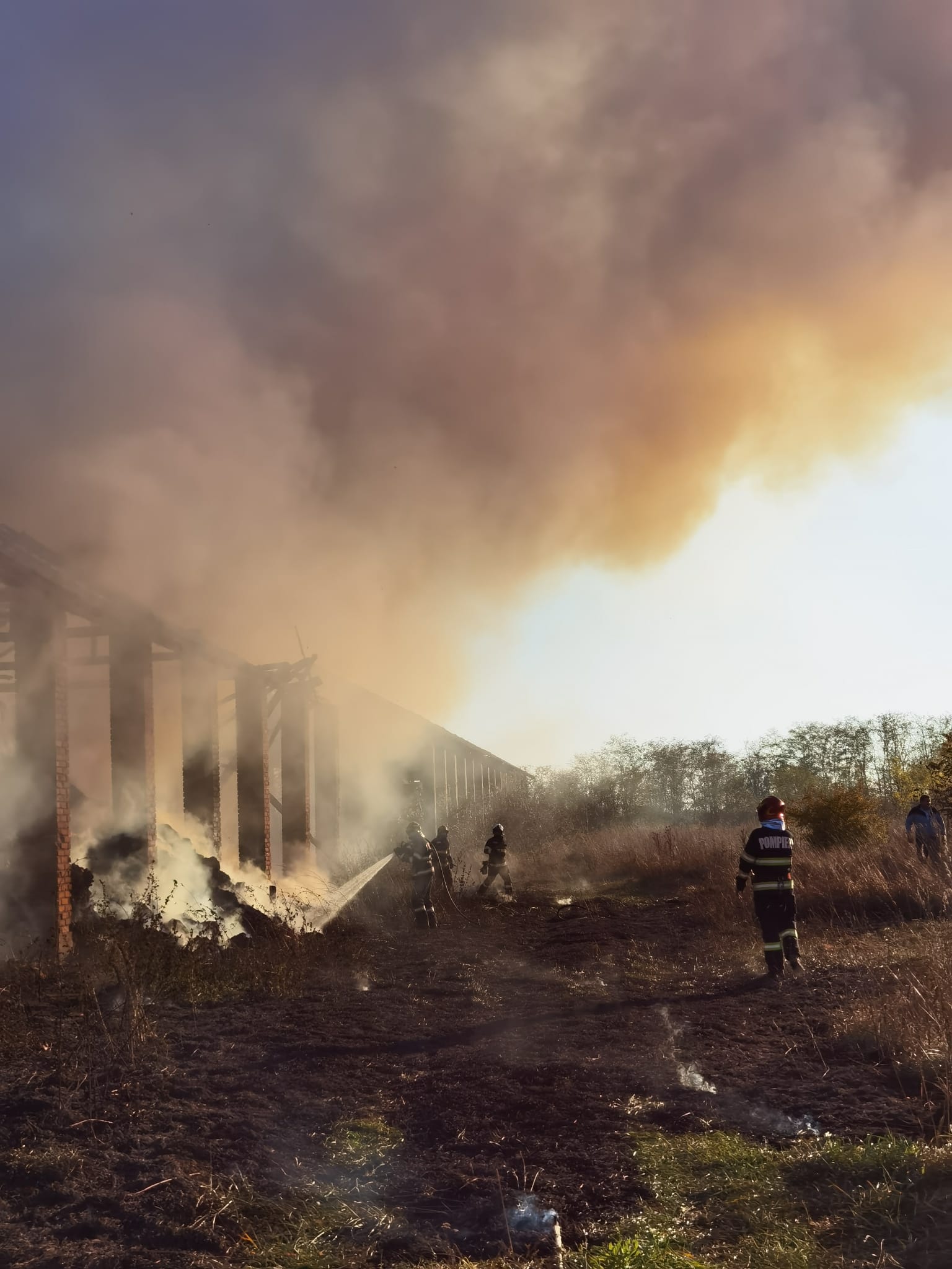 incendiu santaul mic (17)
