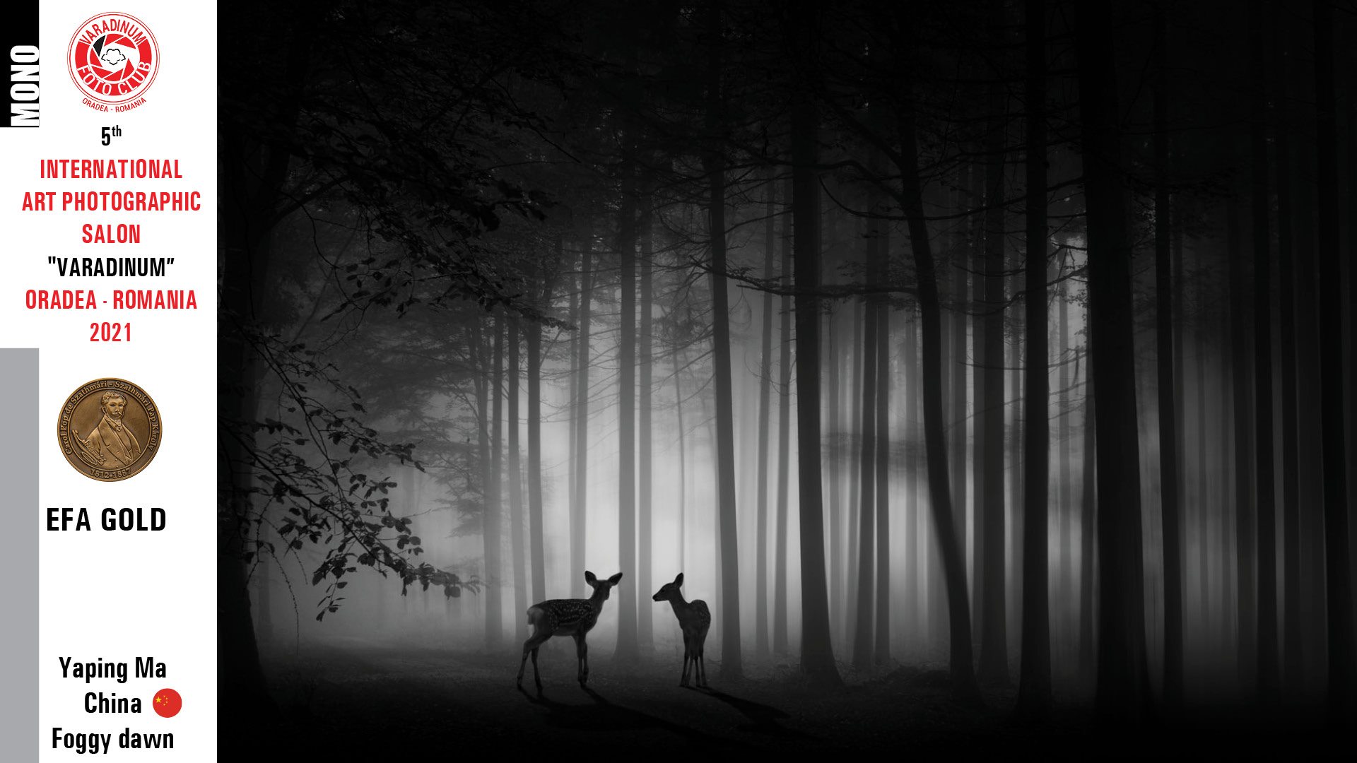 Premiile Salonului „Varadinum” (9)