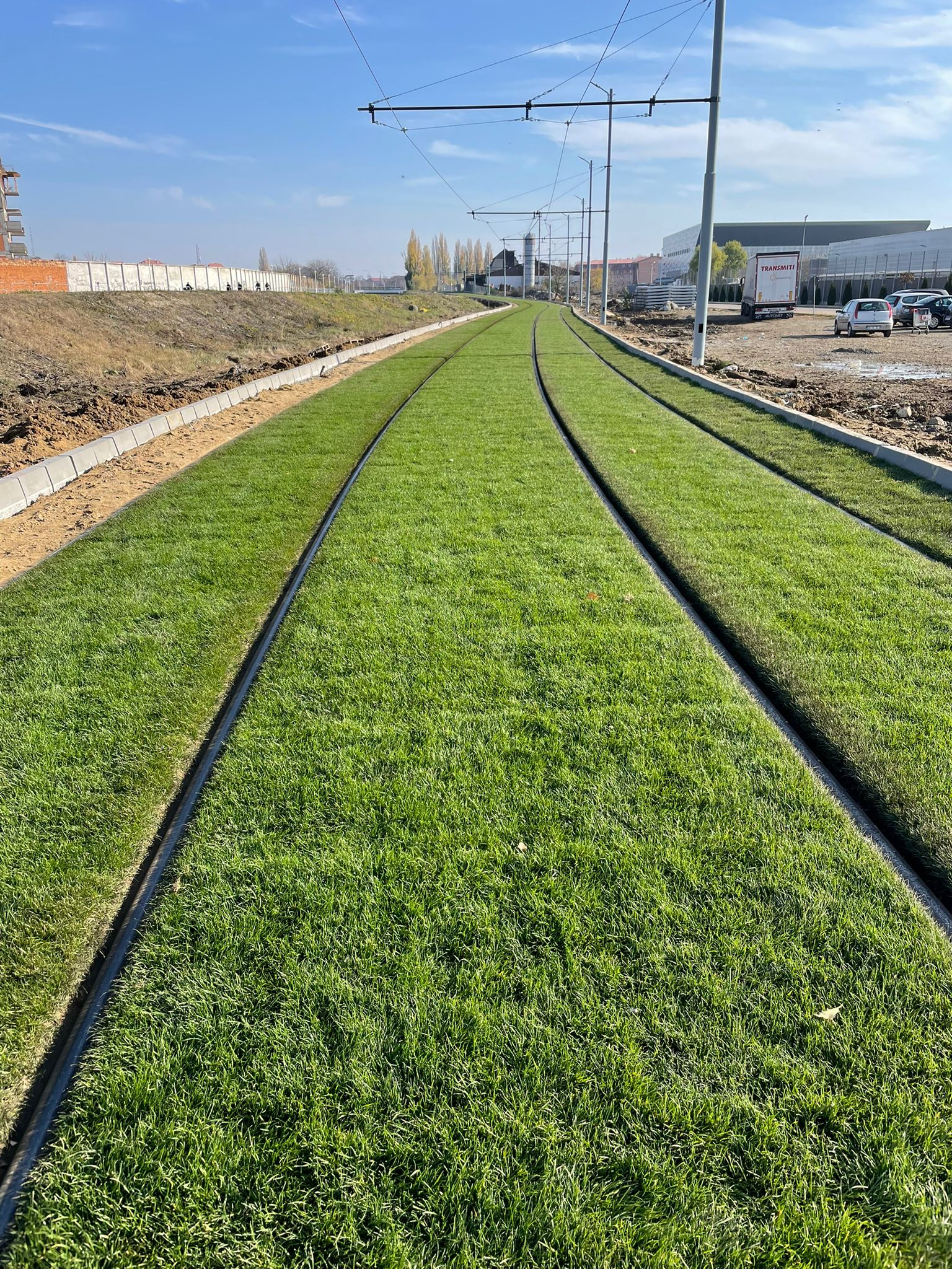 gazon linie tramvai oradea (1)