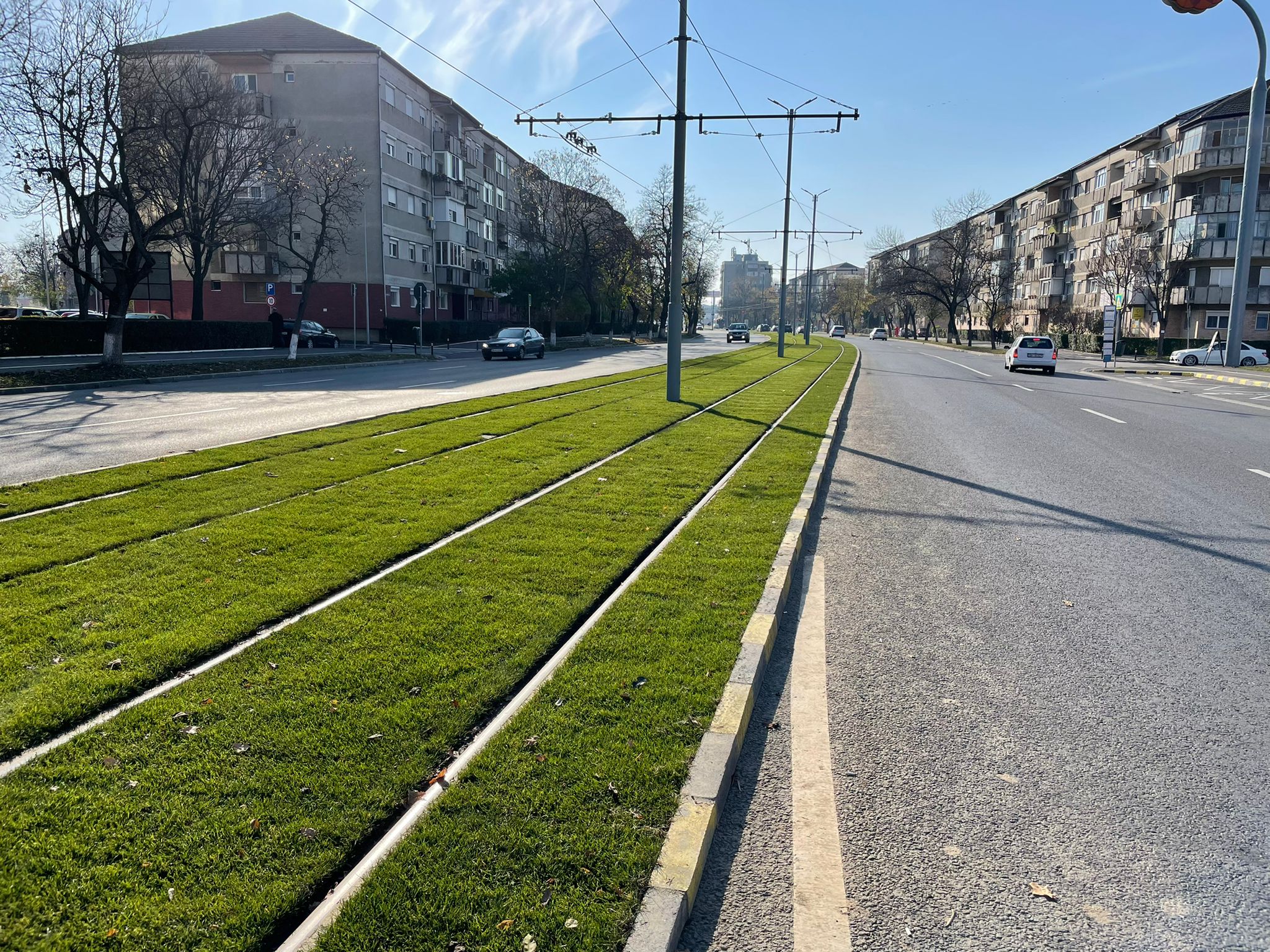 gazon linie tramvai oradea (2)