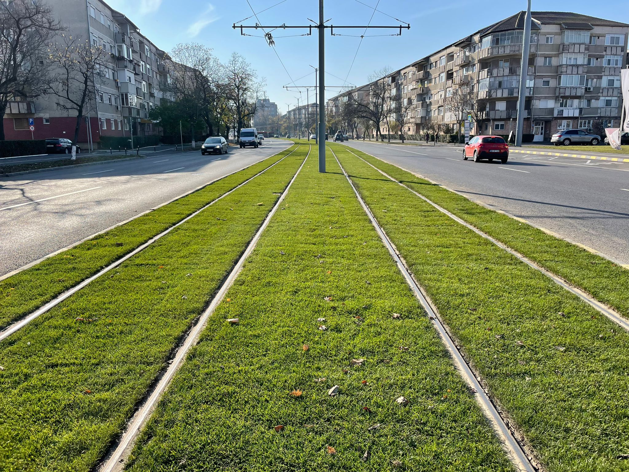 FOTO: Gazon linie tramvai Oradea