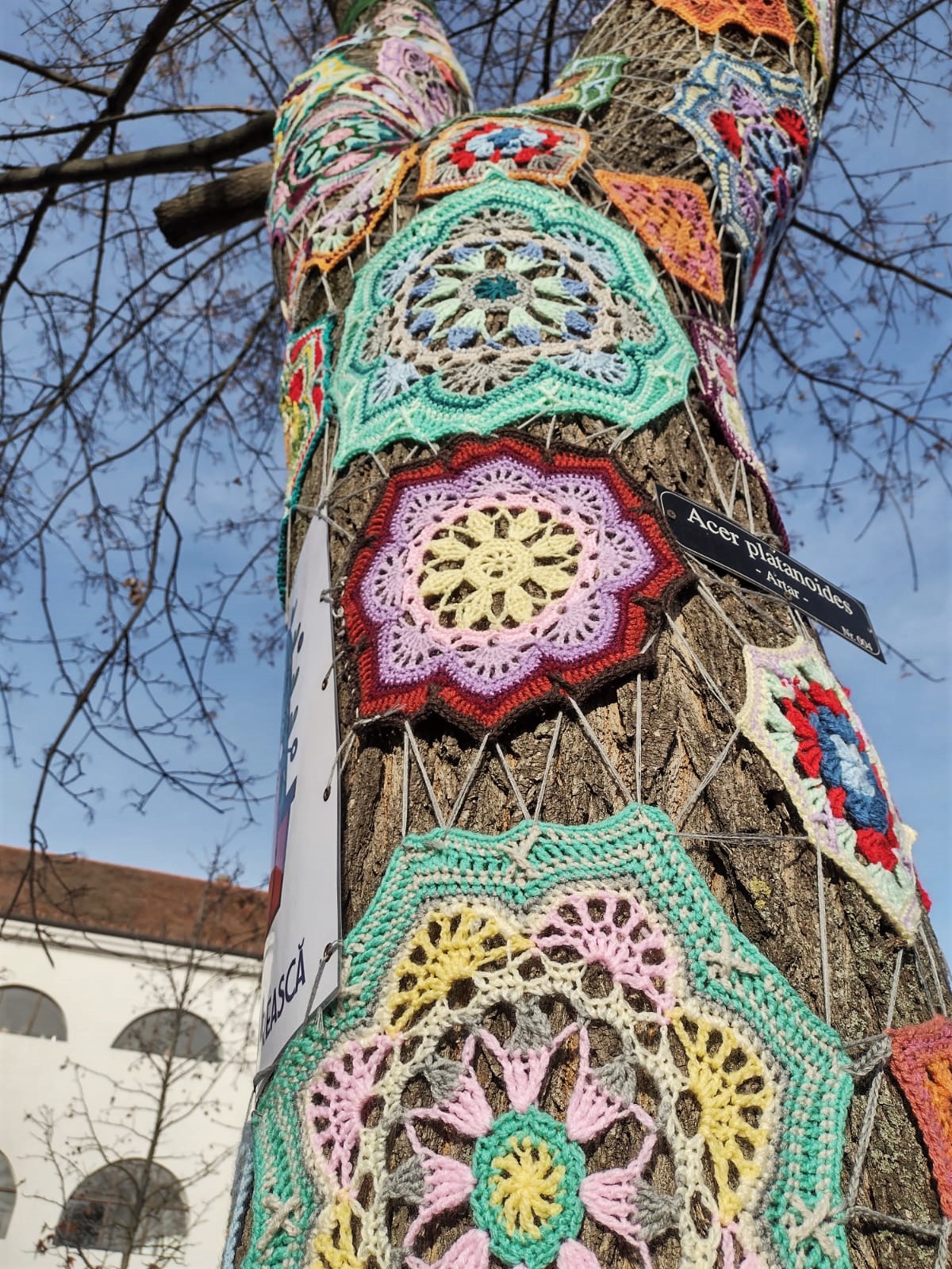 copac crosetat oradea (1)