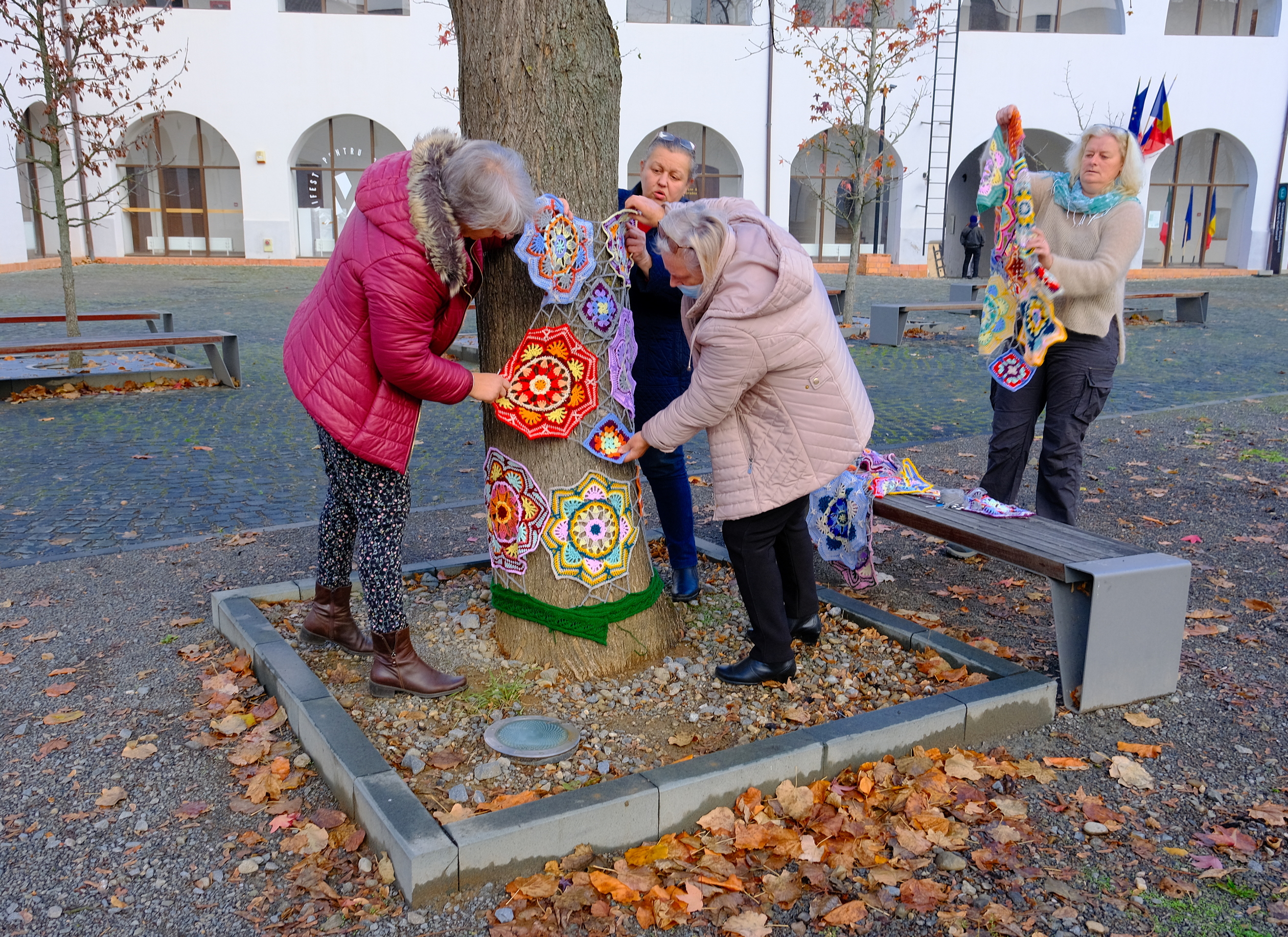 copac crosetat oradea (23)