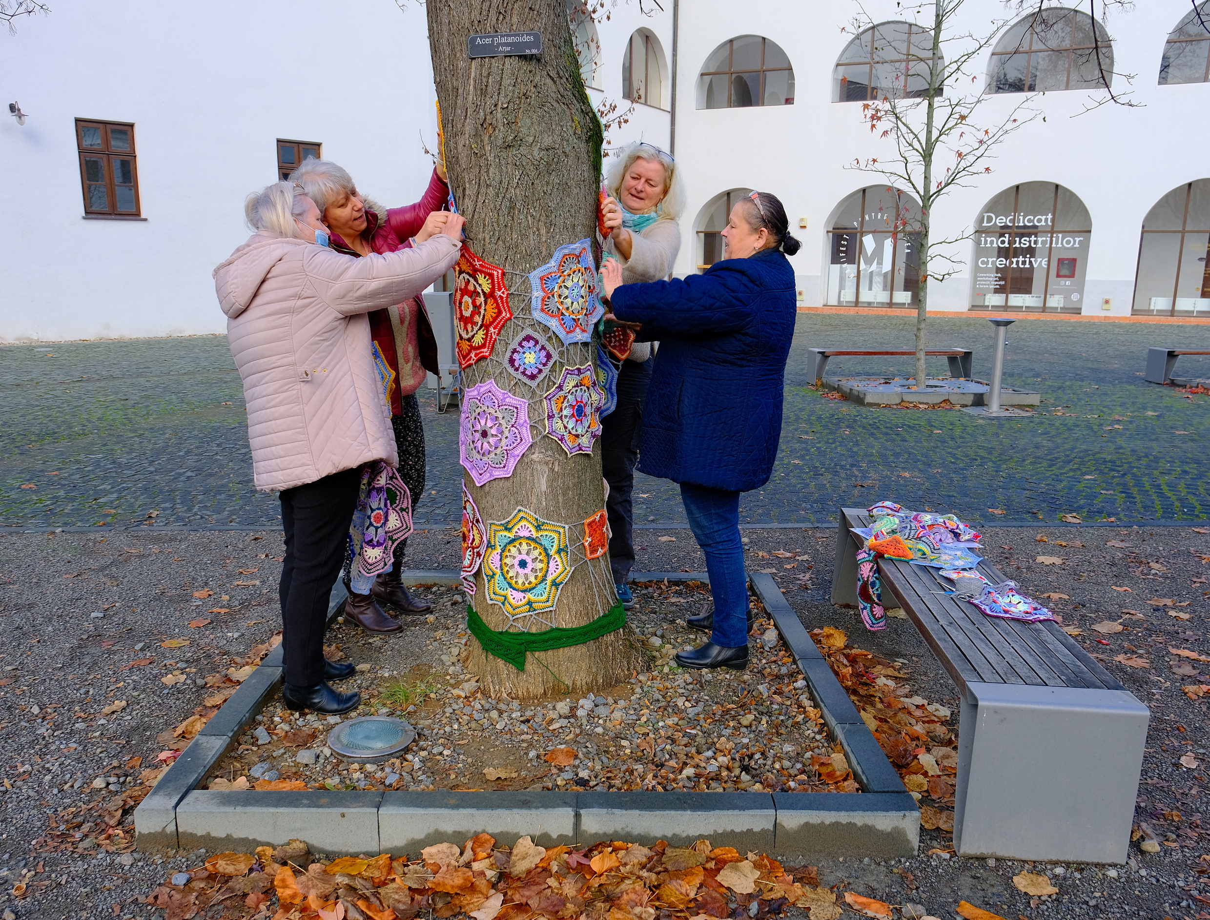 copac crosetat oradea (24)