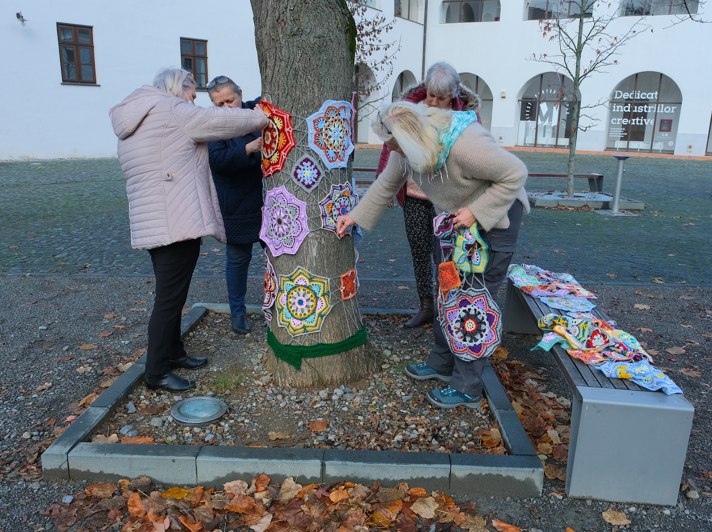 copac crosetat oradea (26)