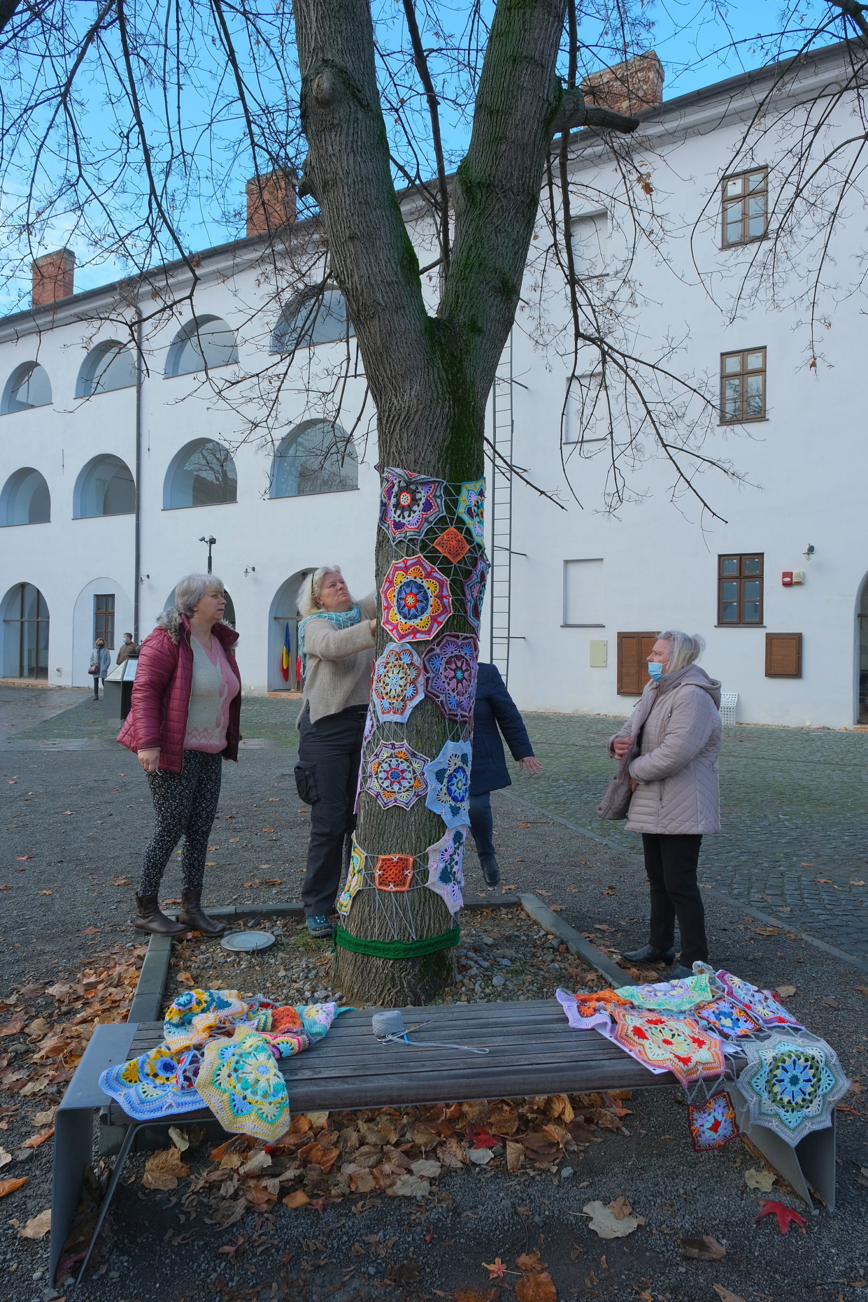 copac crosetat oradea (28)