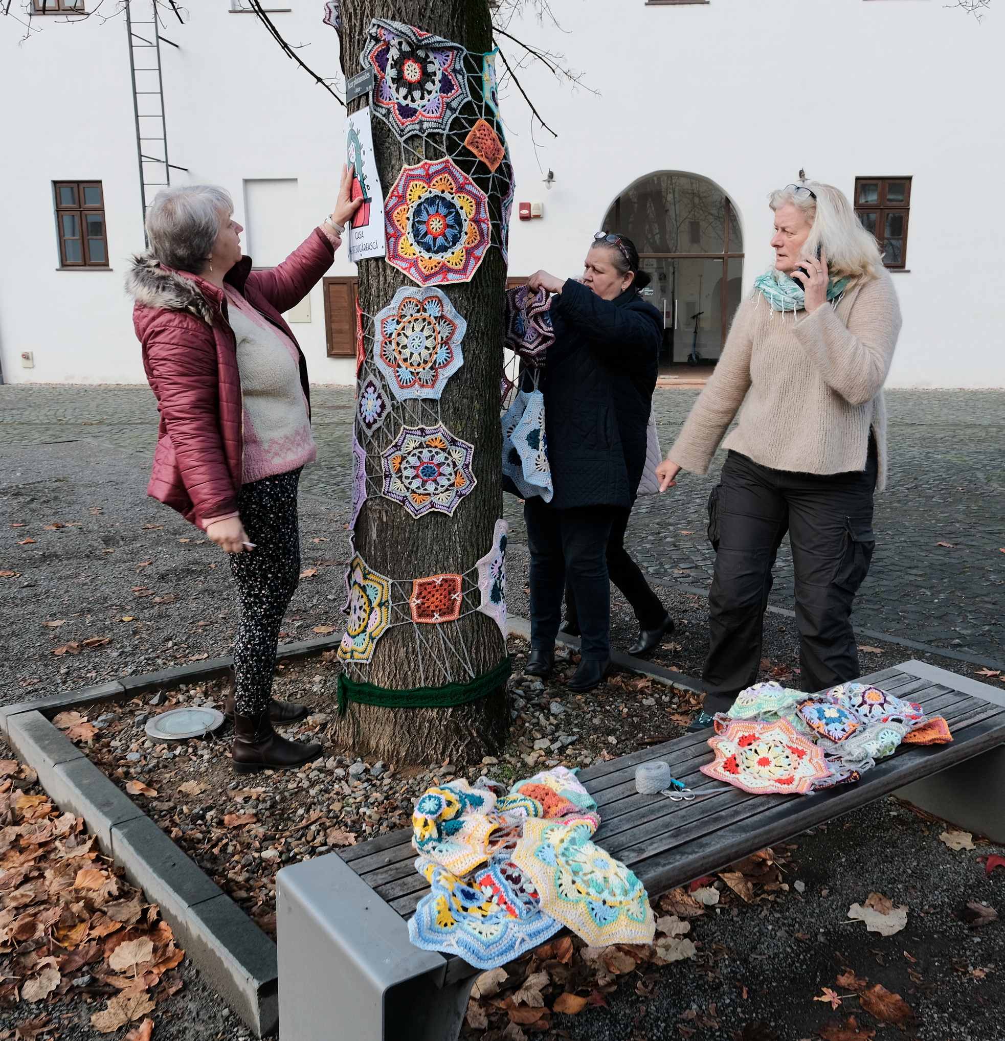 copac crosetat oradea (29)