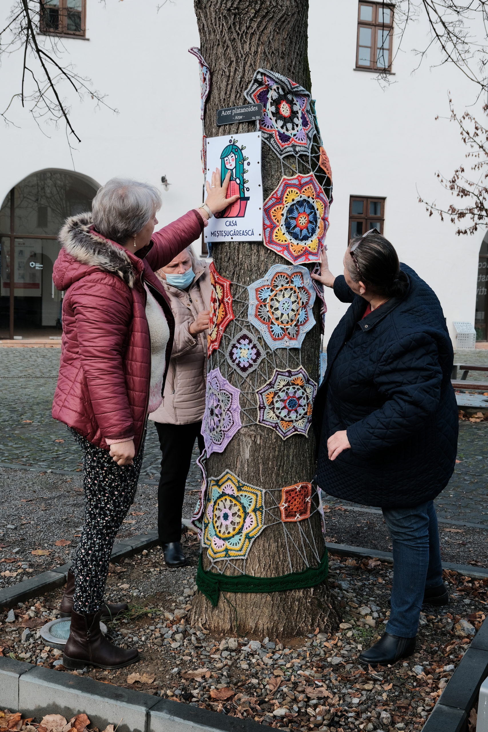 copac crosetat oradea (30)