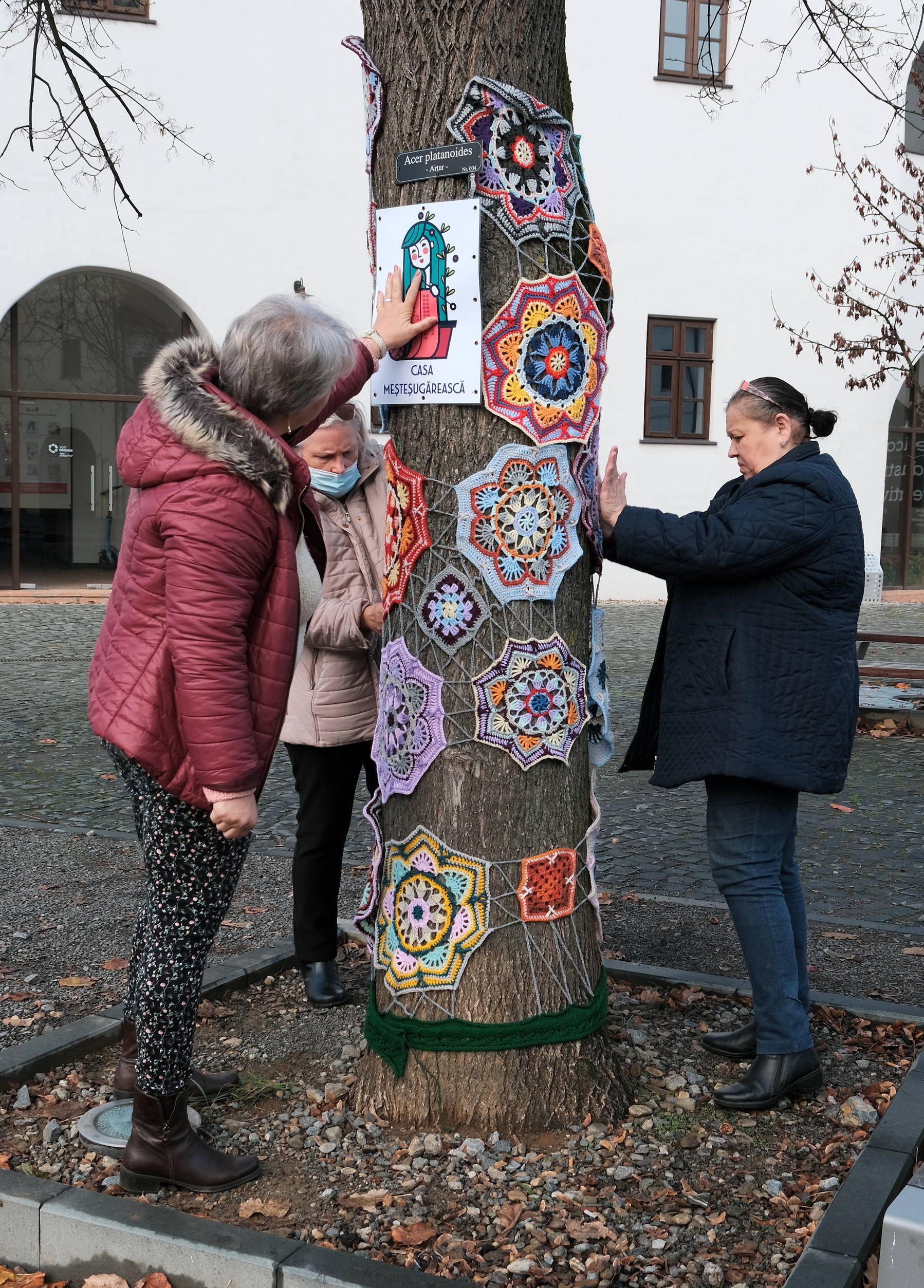 copac crosetat oradea (31)