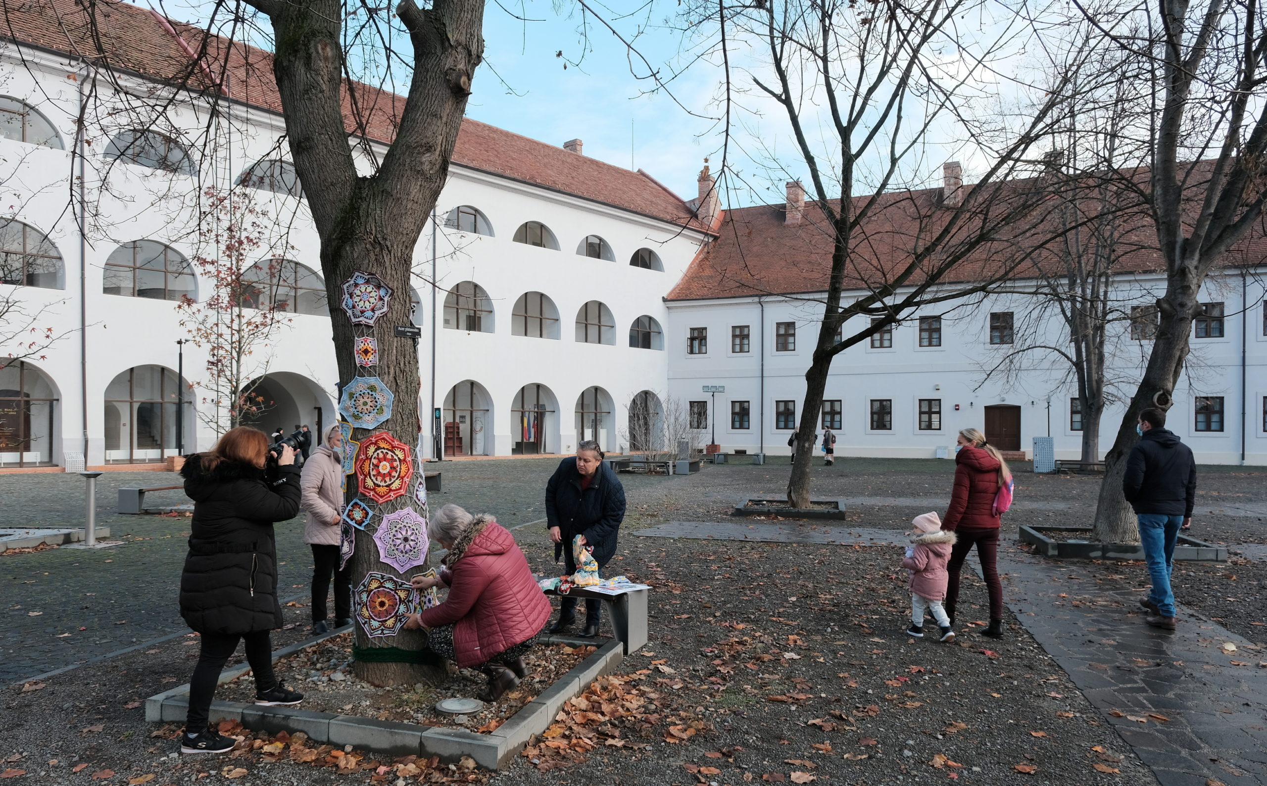 copac crosetat oradea (32)