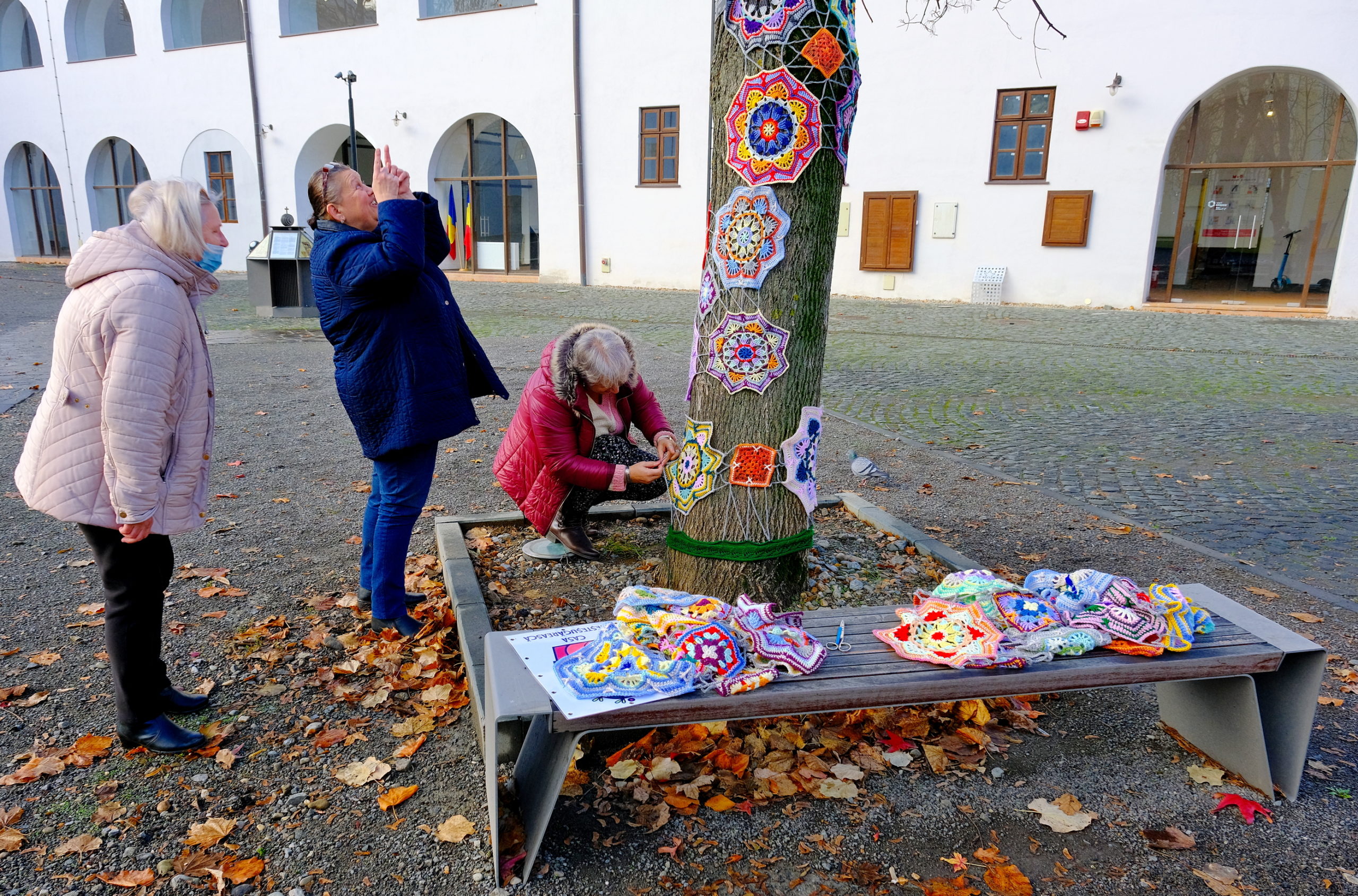 copac crosetat oradea (33)