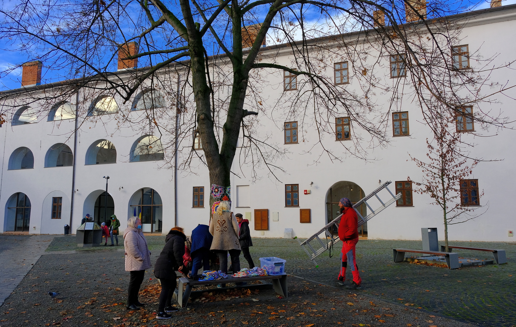 copac crosetat oradea (34)