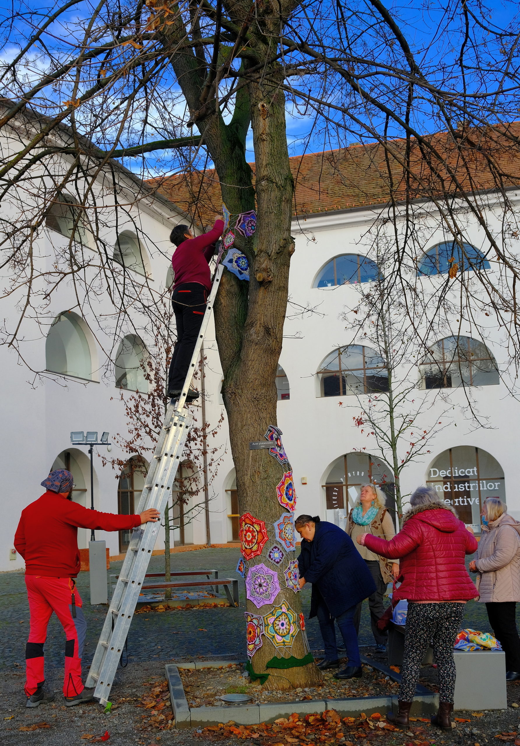 copac crosetat oradea (35)