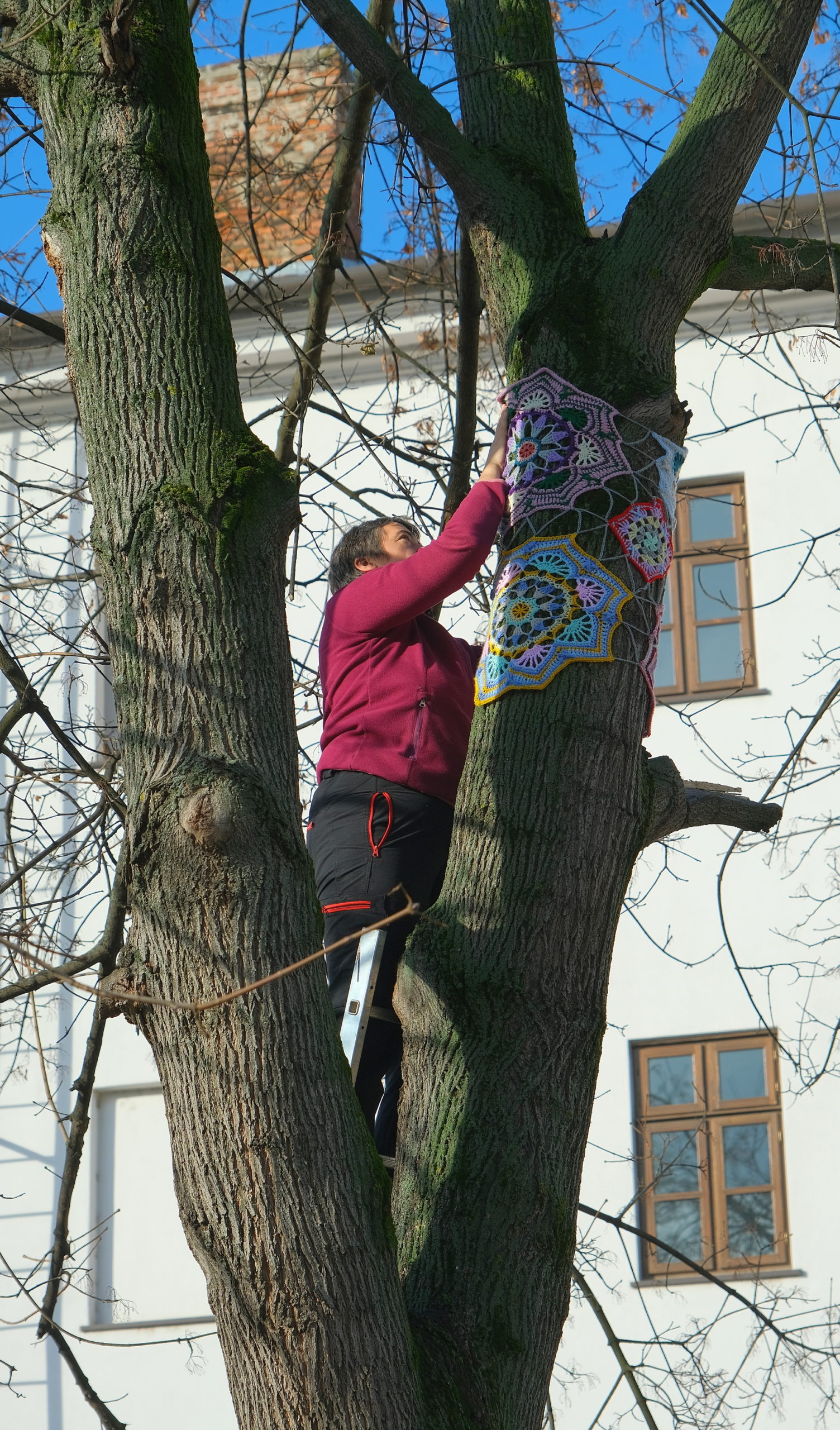 copac crosetat oradea (36)