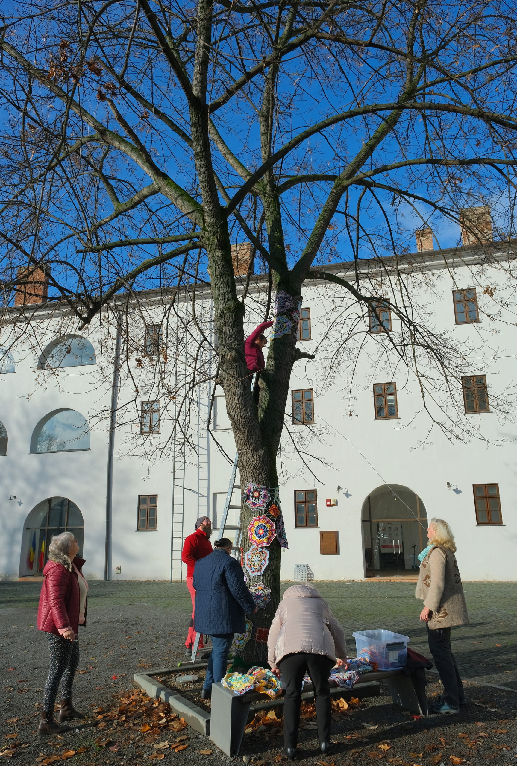 copac crosetat oradea (37)