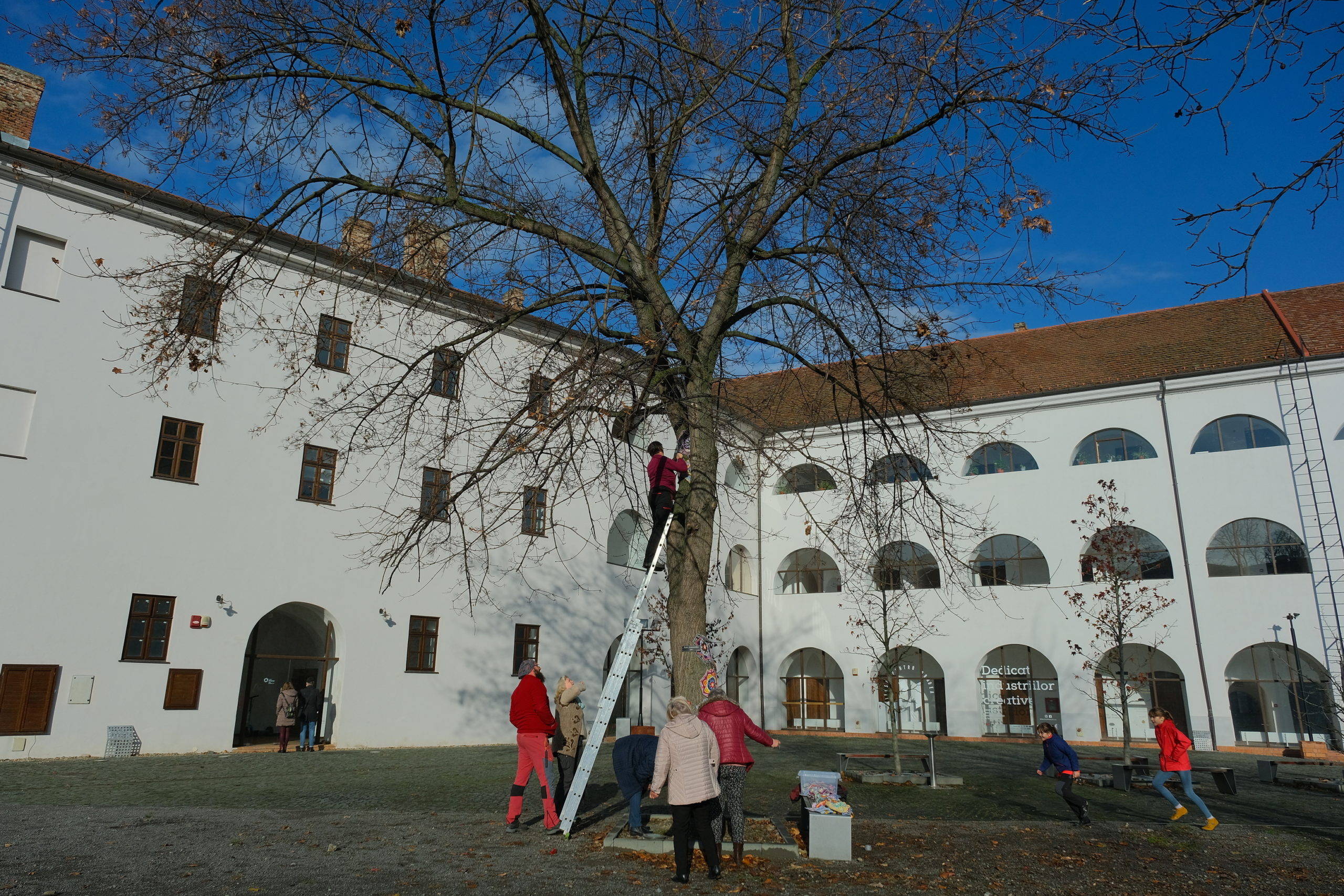 copac crosetat oradea (38)