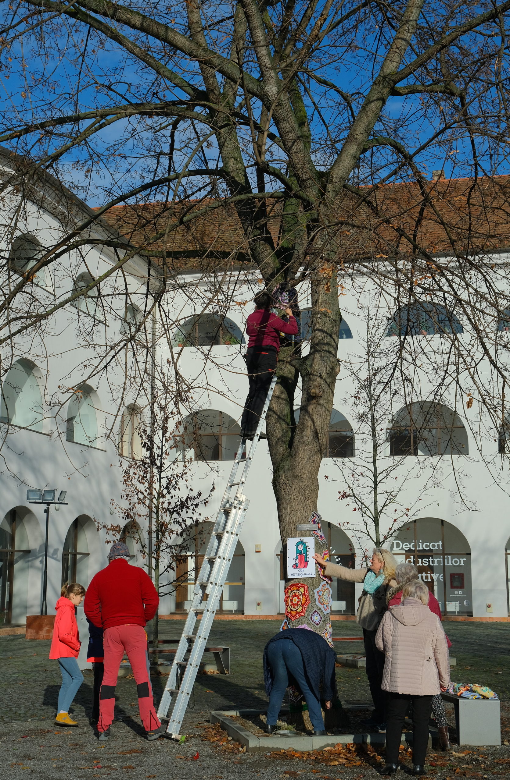 copac crosetat oradea (39)
