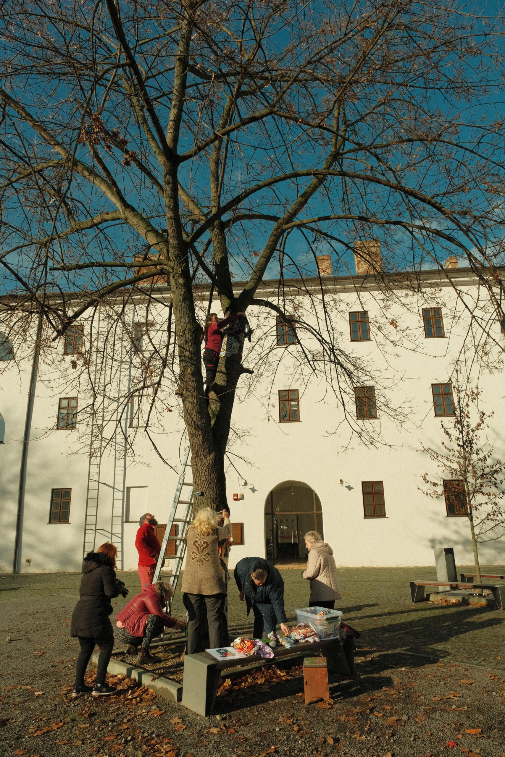 copac crosetat oradea (40)