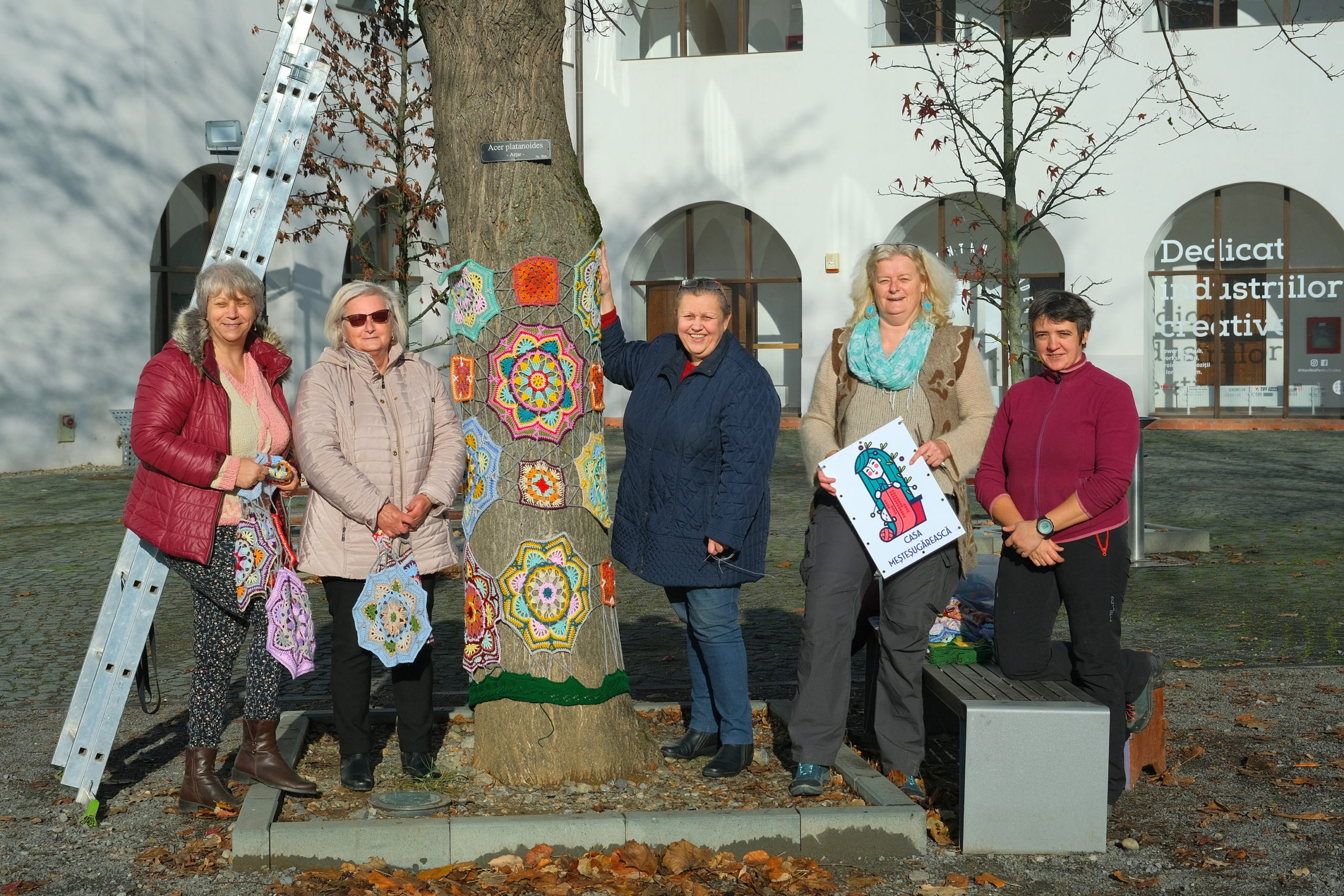 copac crosetat oradea (41)