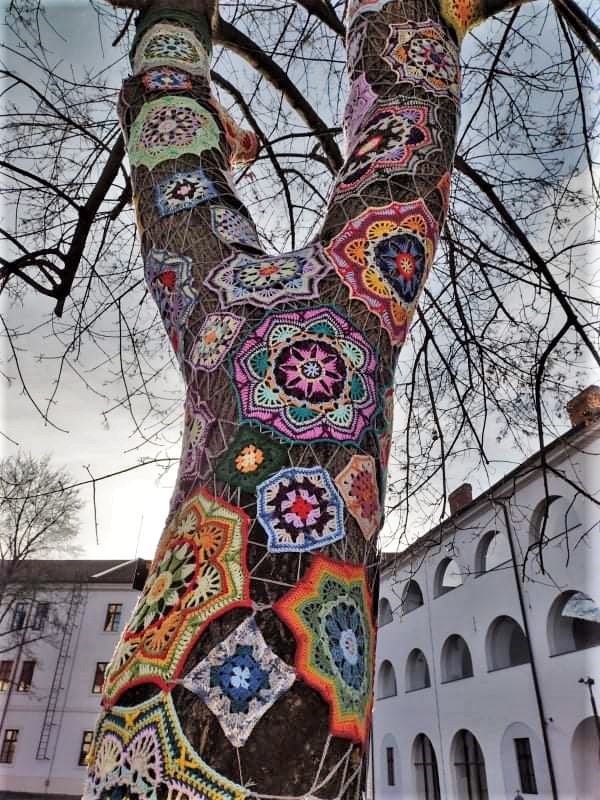 copac crosetat oradea (42)