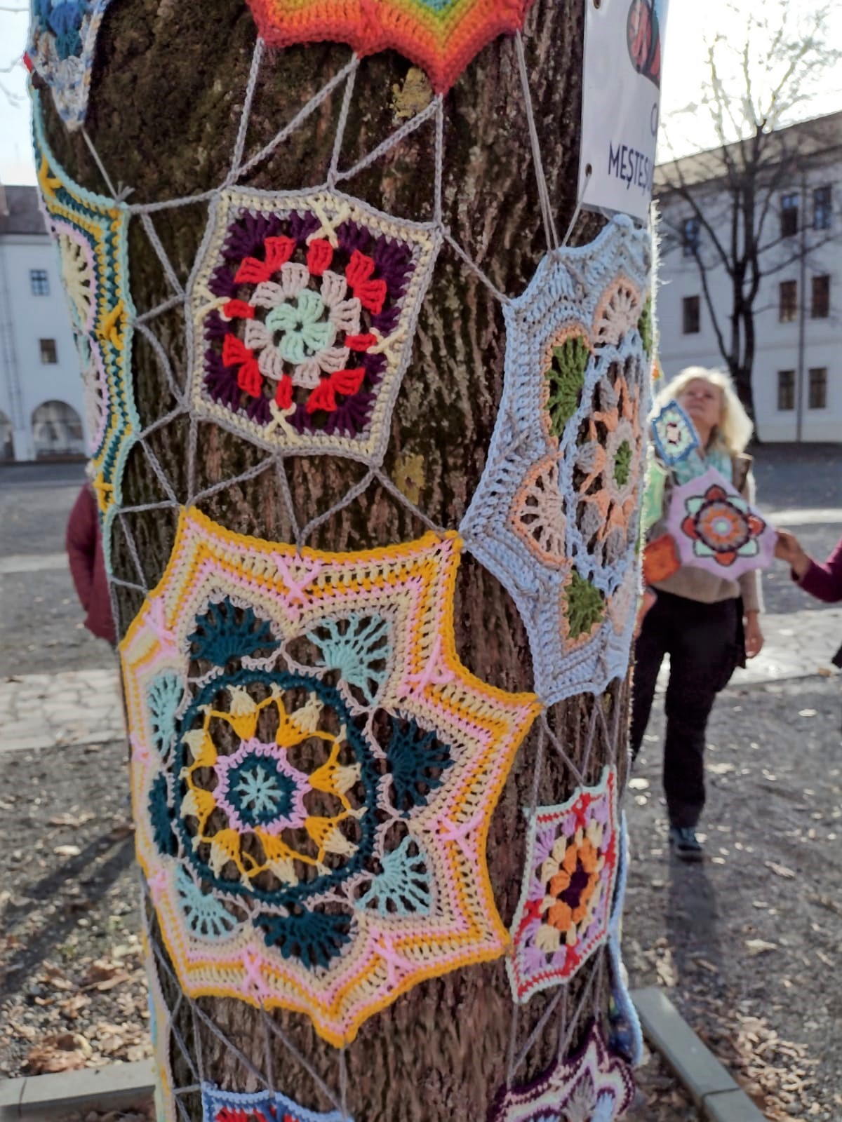 copac crosetat oradea (43)