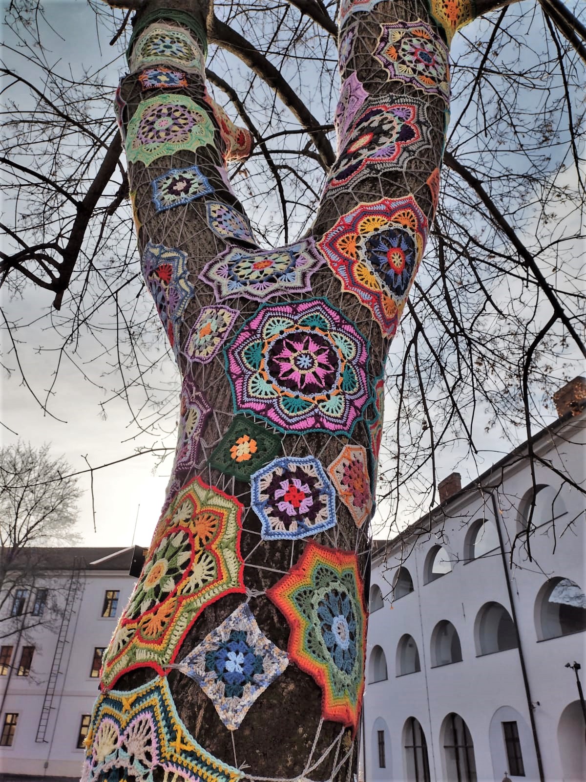 copac crosetat oradea (44)