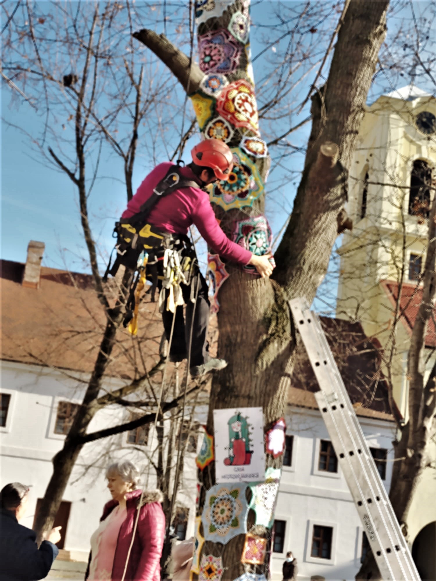 copac crosetat oradea (45)