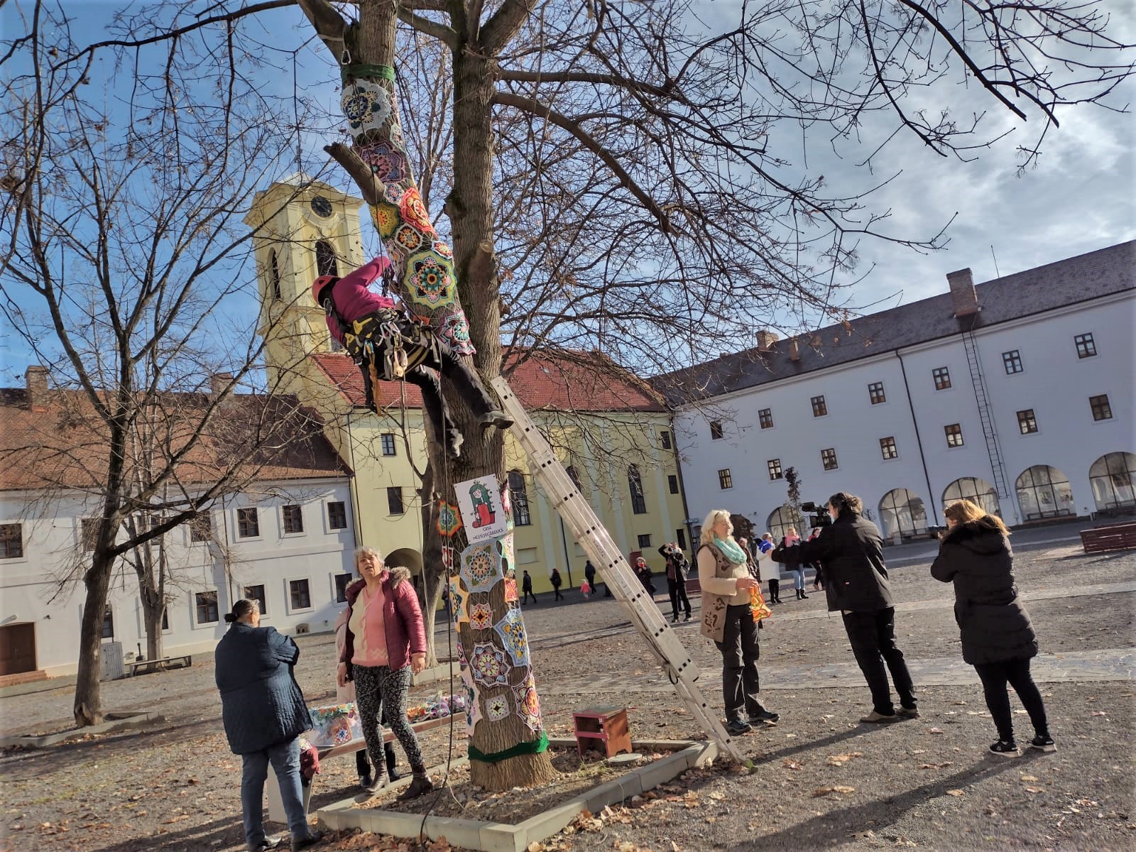 copac crosetat oradea (46)
